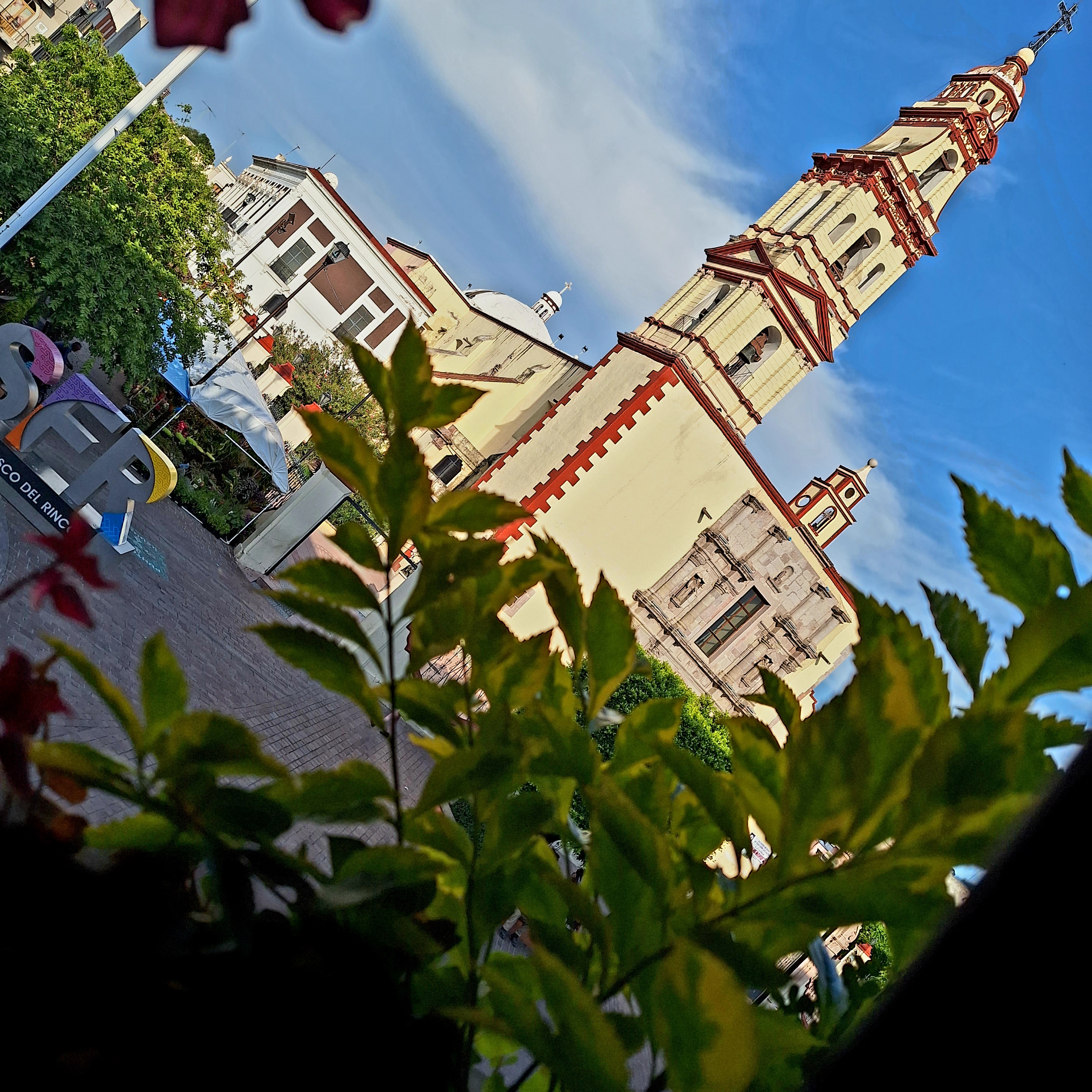 Piatto Pasta image 9