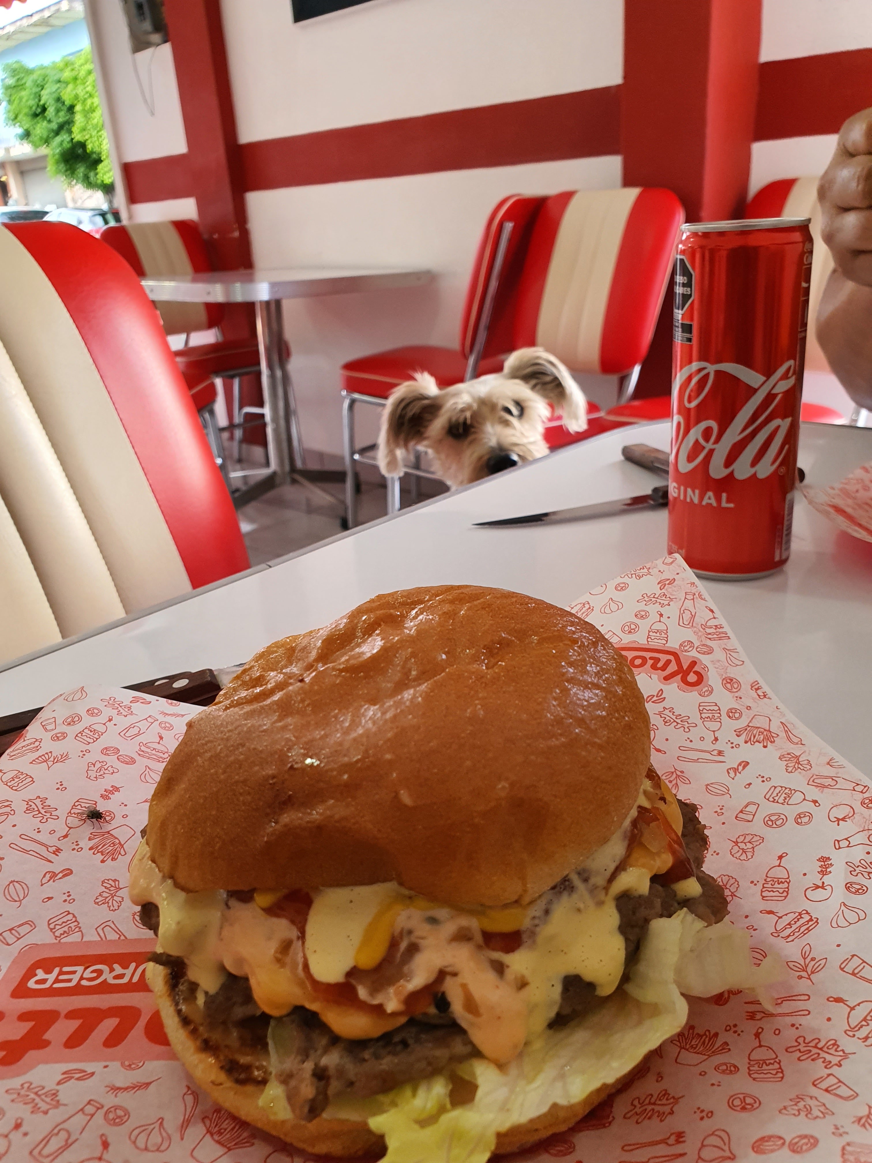 Knock-out Burger San Pancho image 3