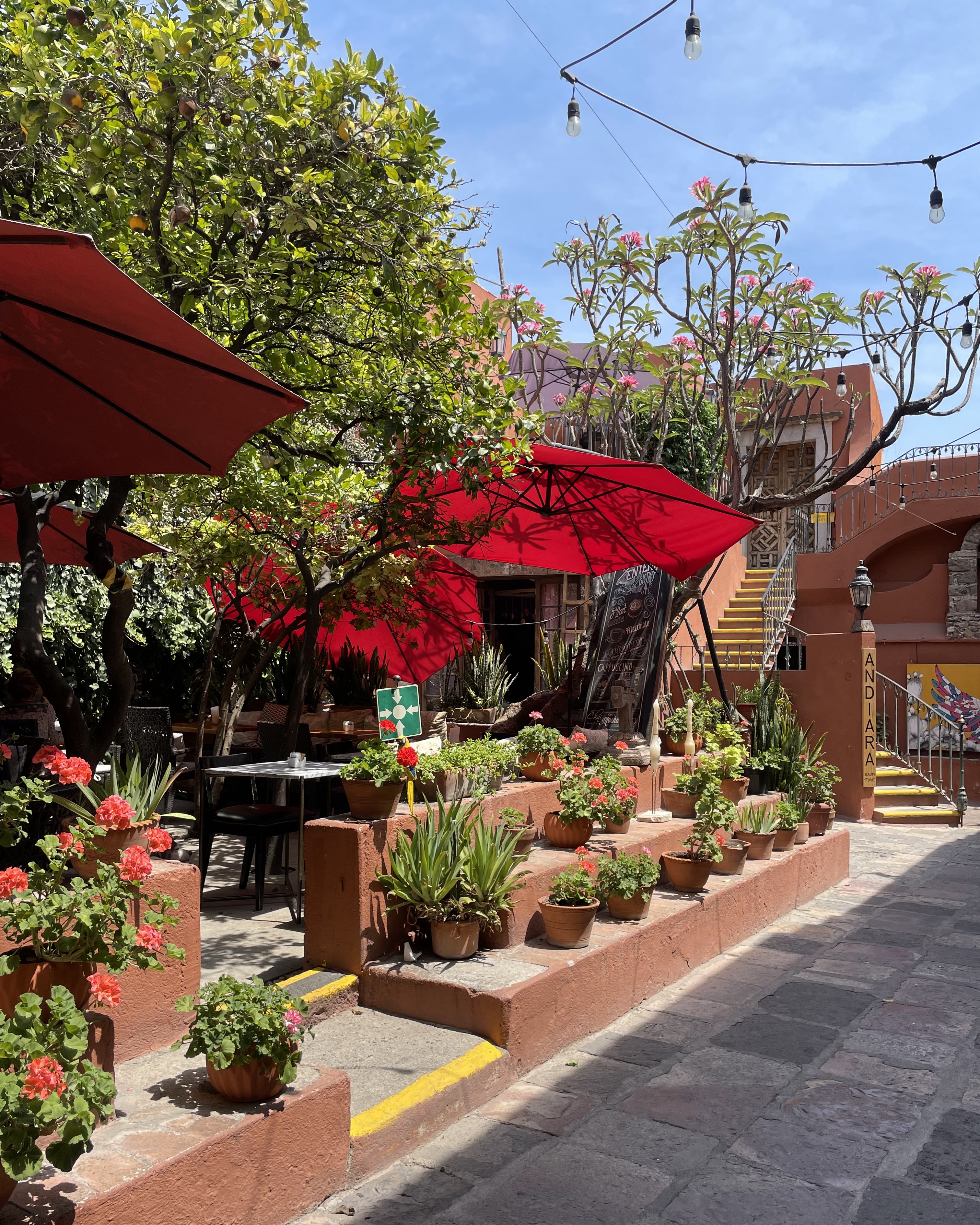 La Sacristía image 5