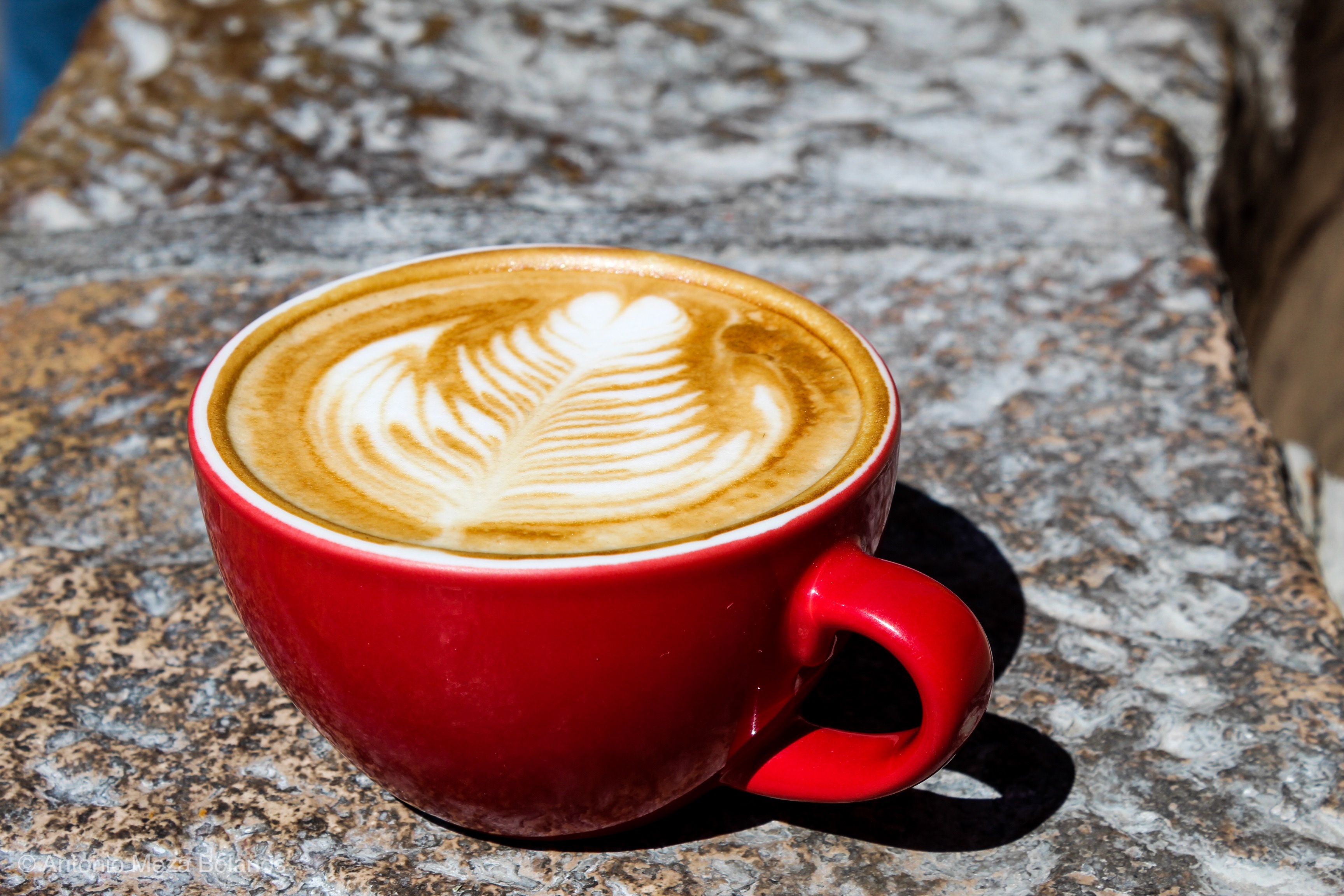 La Sacristía image 7