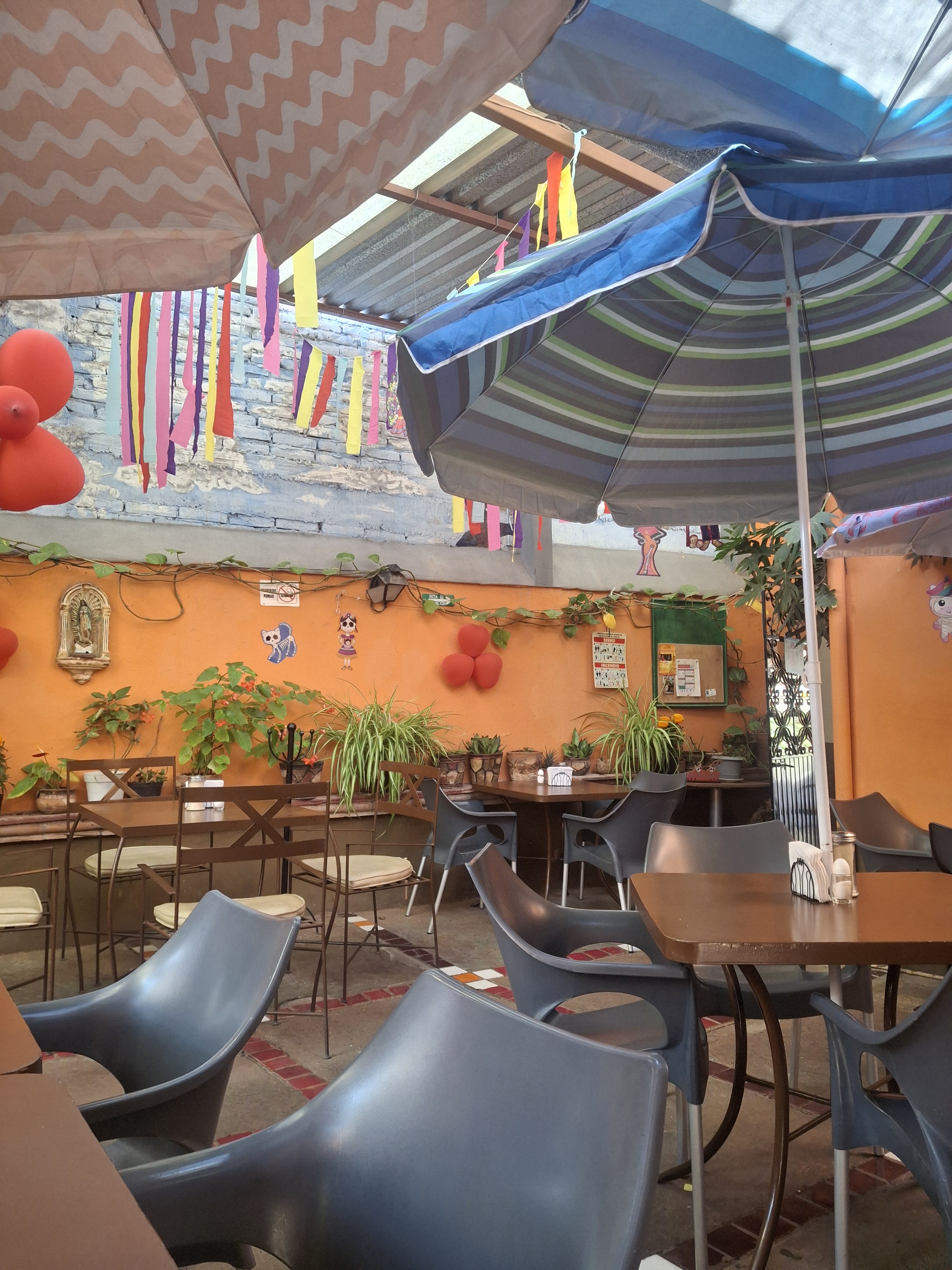 Sabor Natura image 1