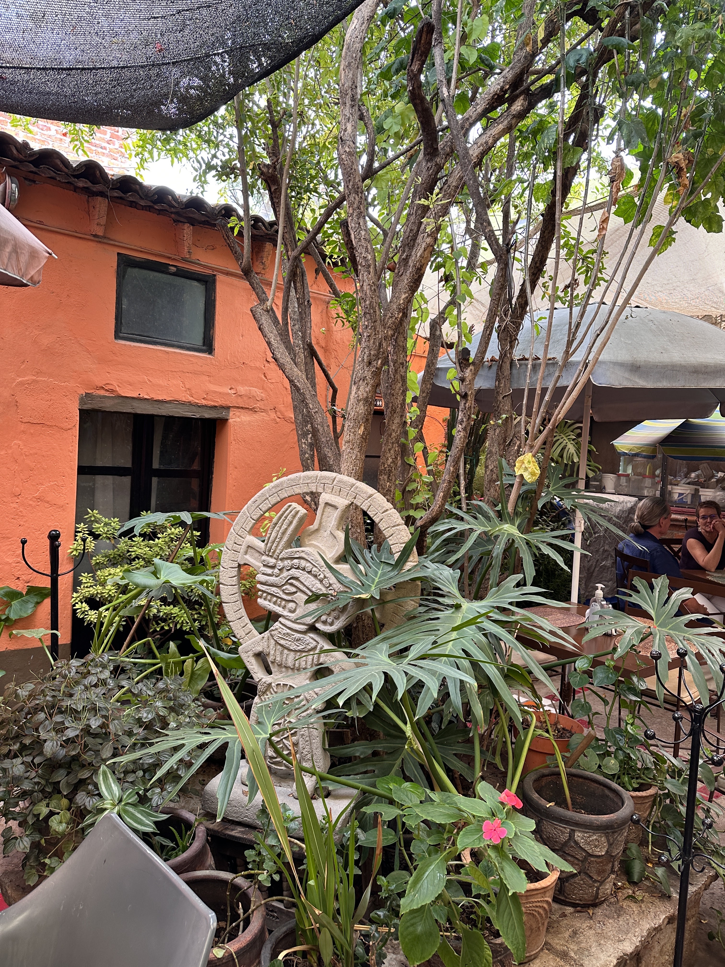 Sabor Natura image 9