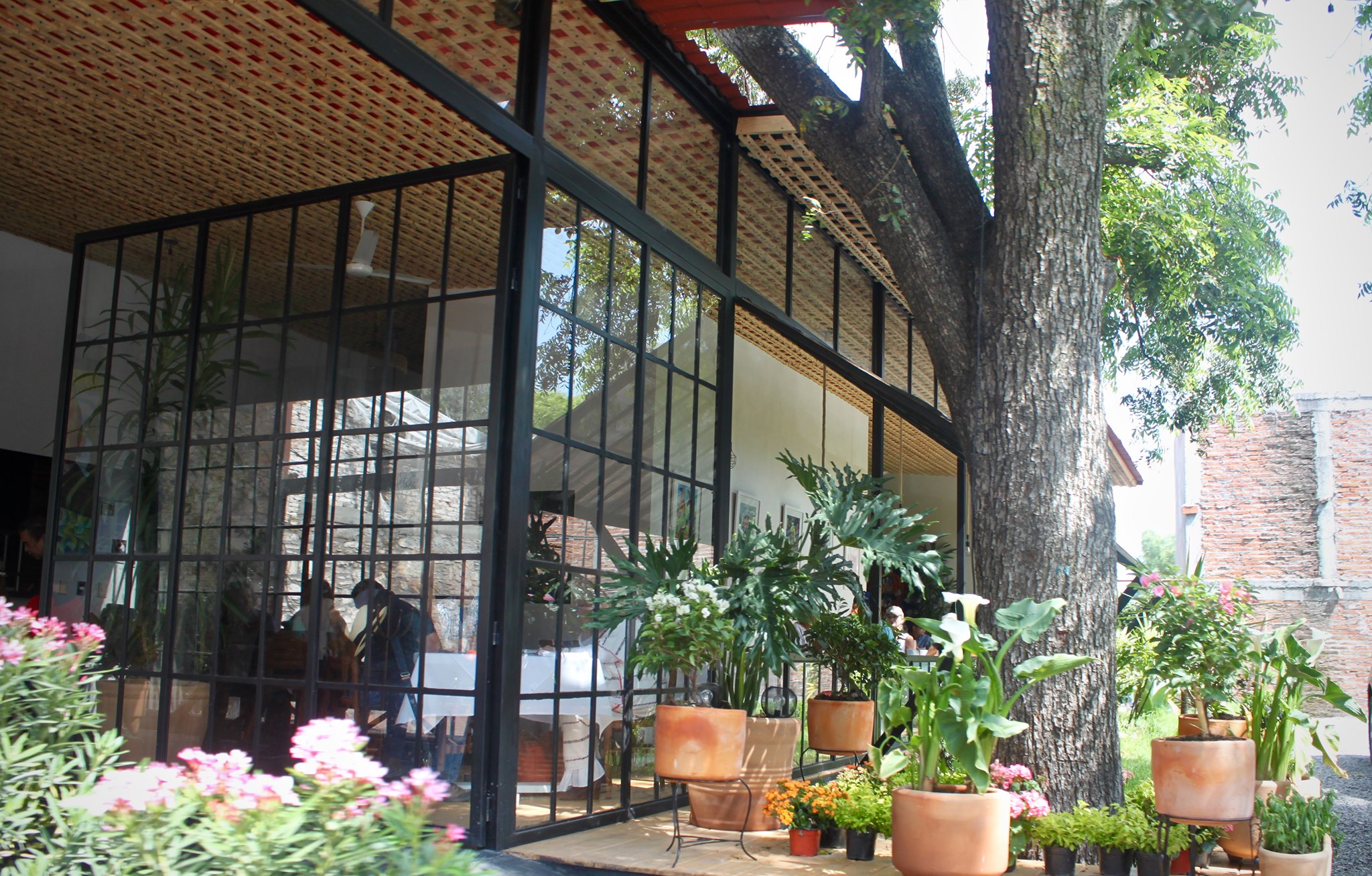 Mi Bistro 300 image 4