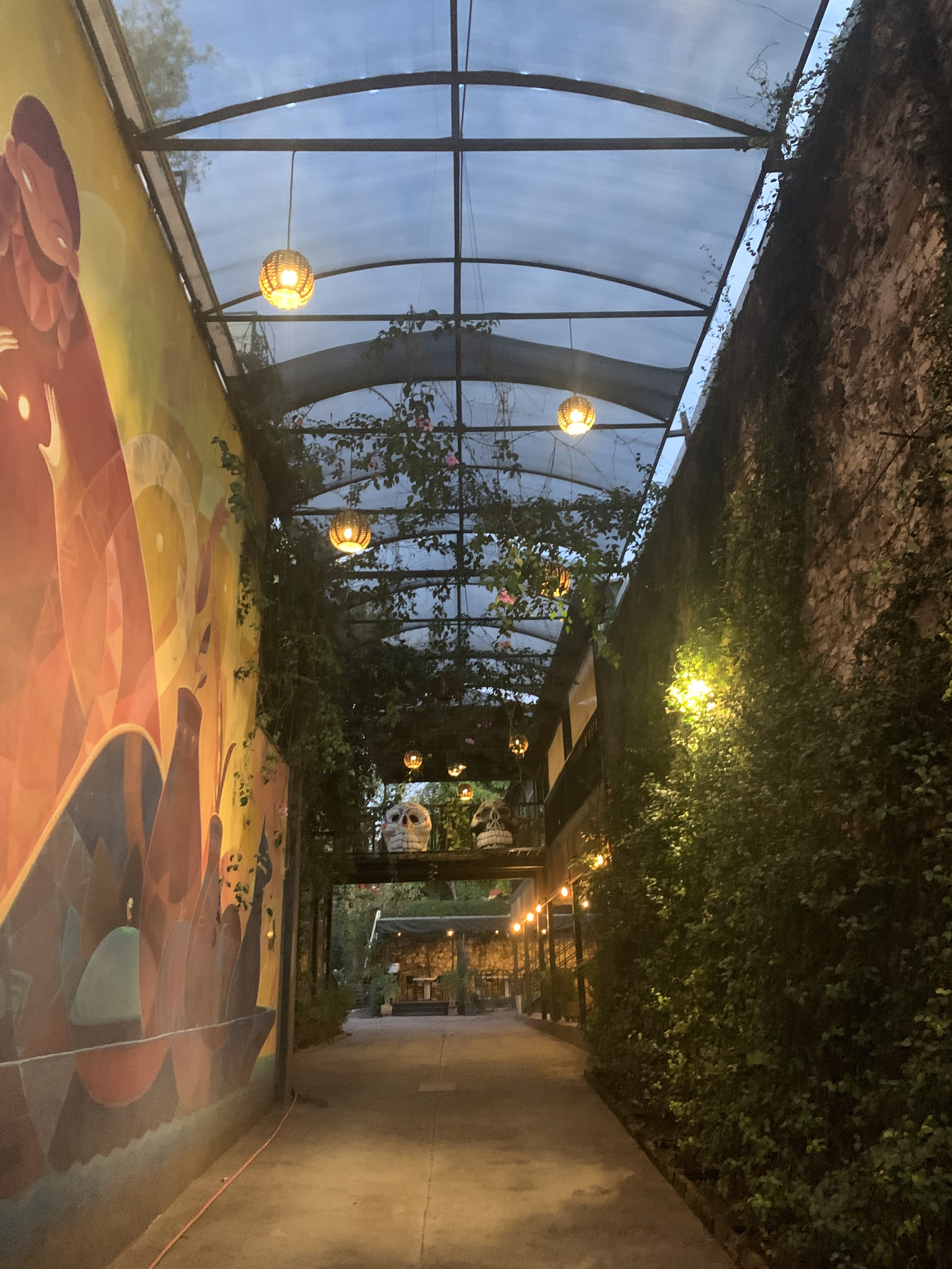 Mi Bistro 300 image 6