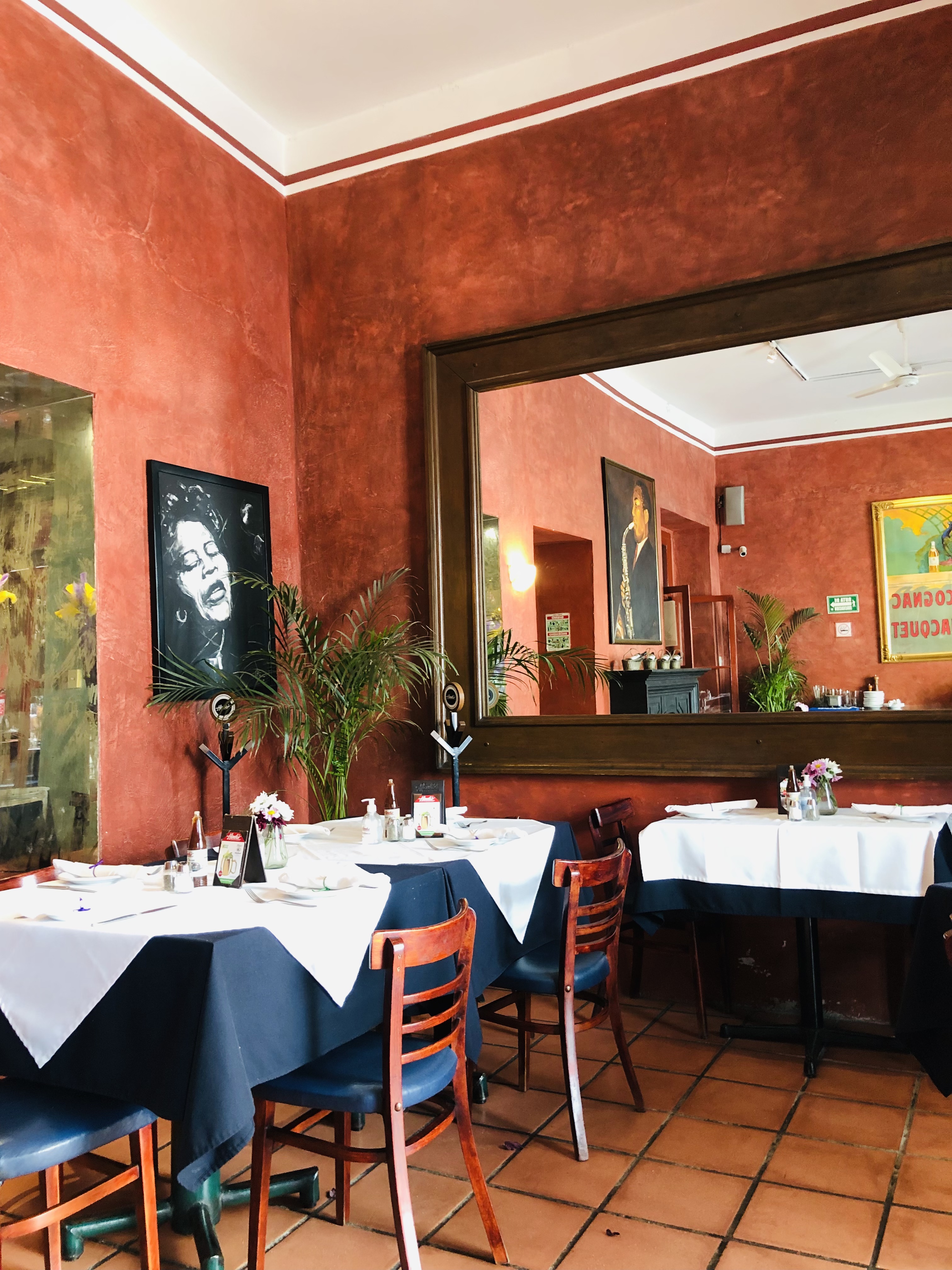 Hank's San Miguel de Allende image 7