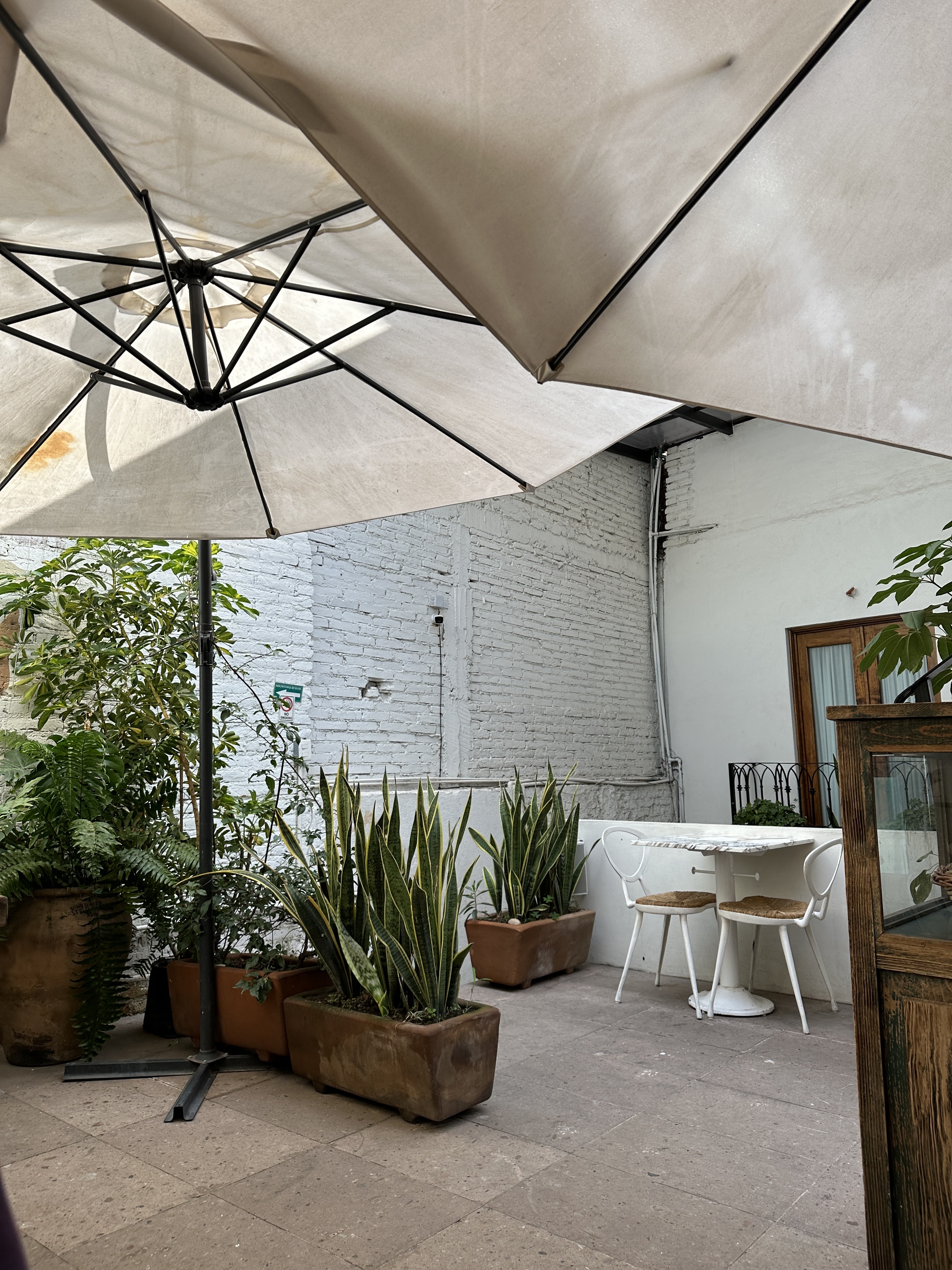 Jacques Restaurante image 8