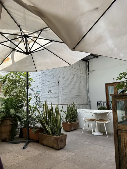 Jacques Restaurante image 8