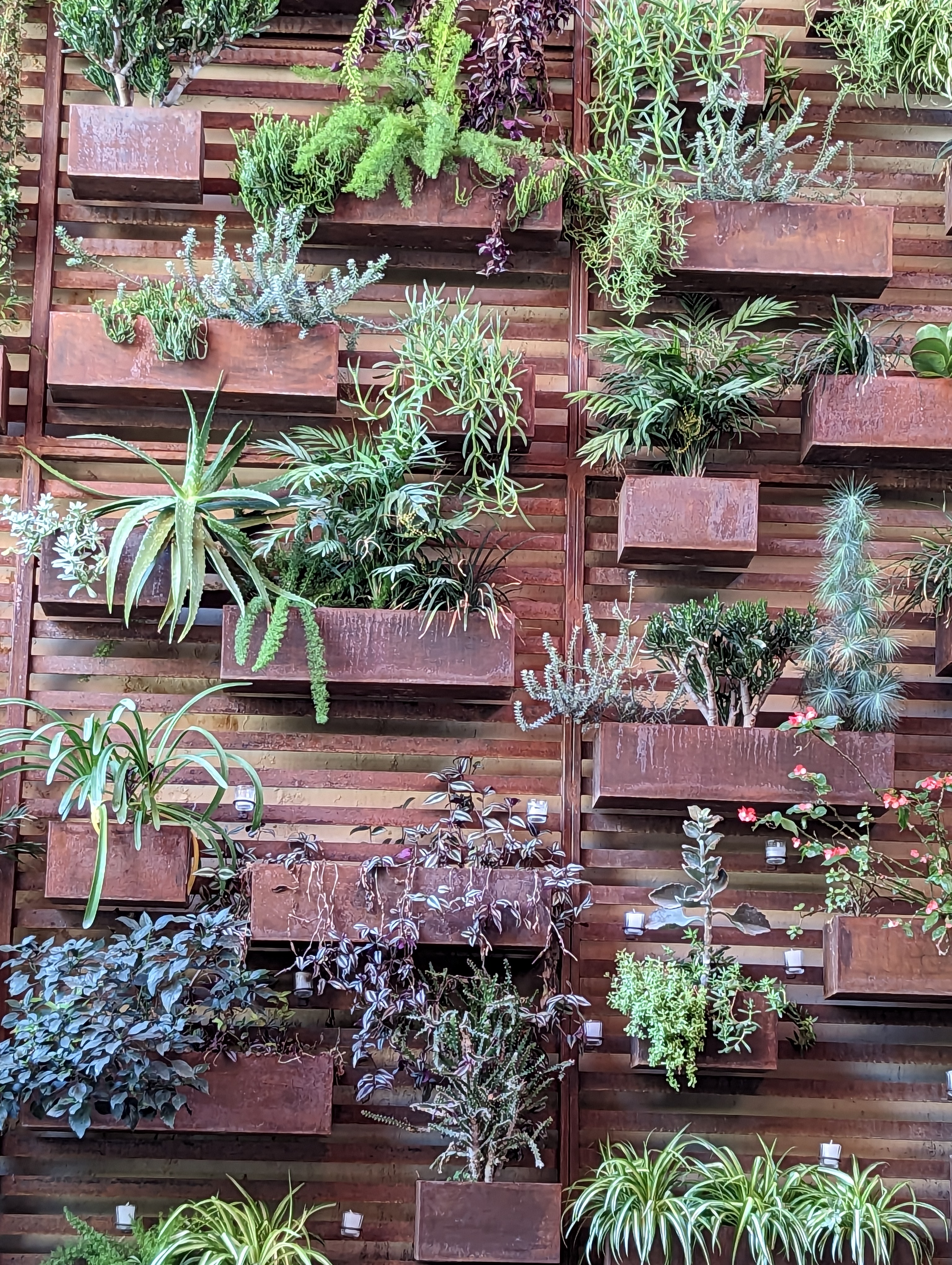 The Restaurant image 9