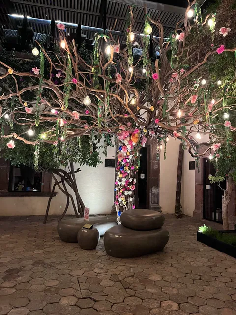 Atrio Restaurant image 4