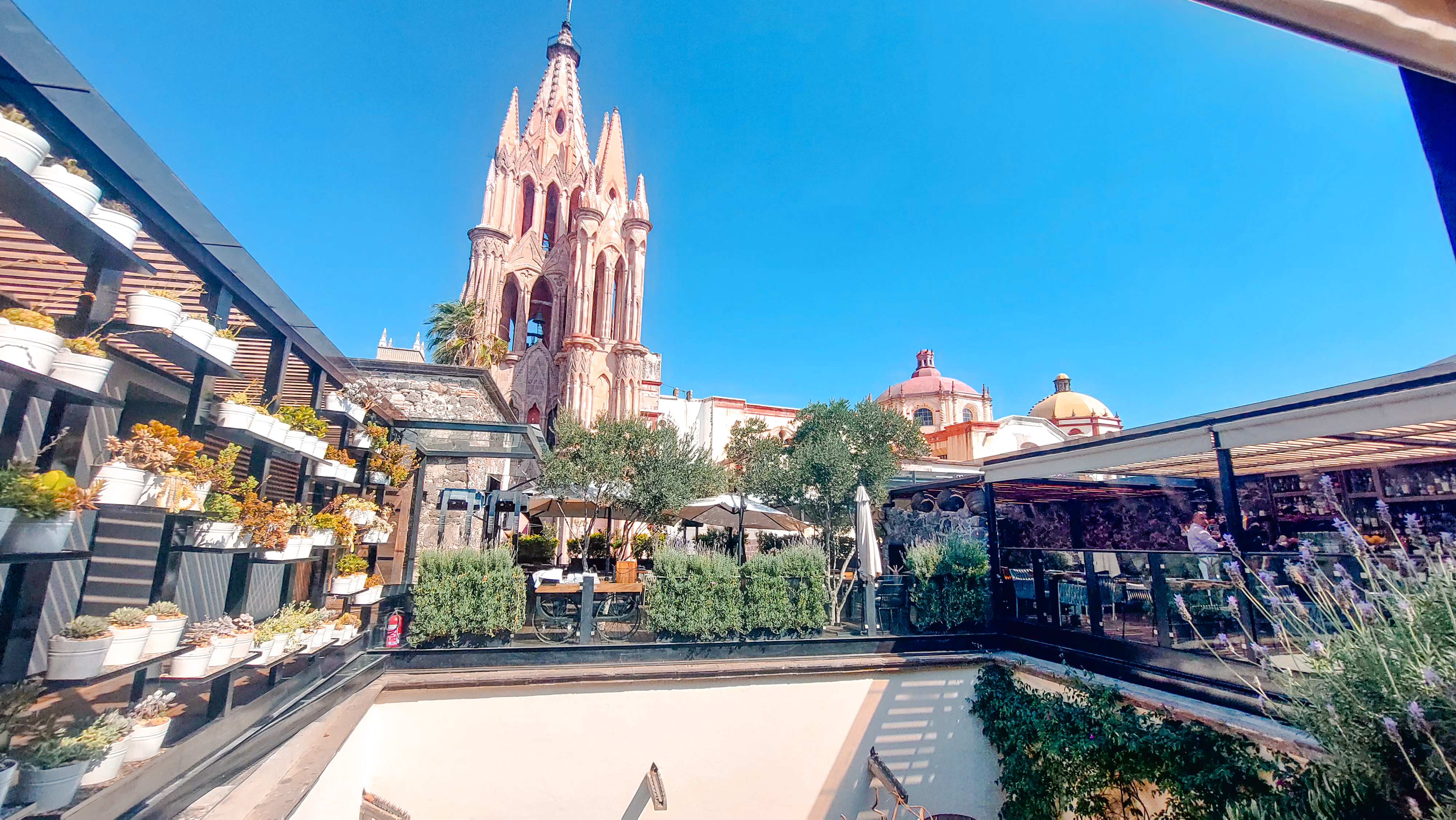 Atrio Restaurant image 6