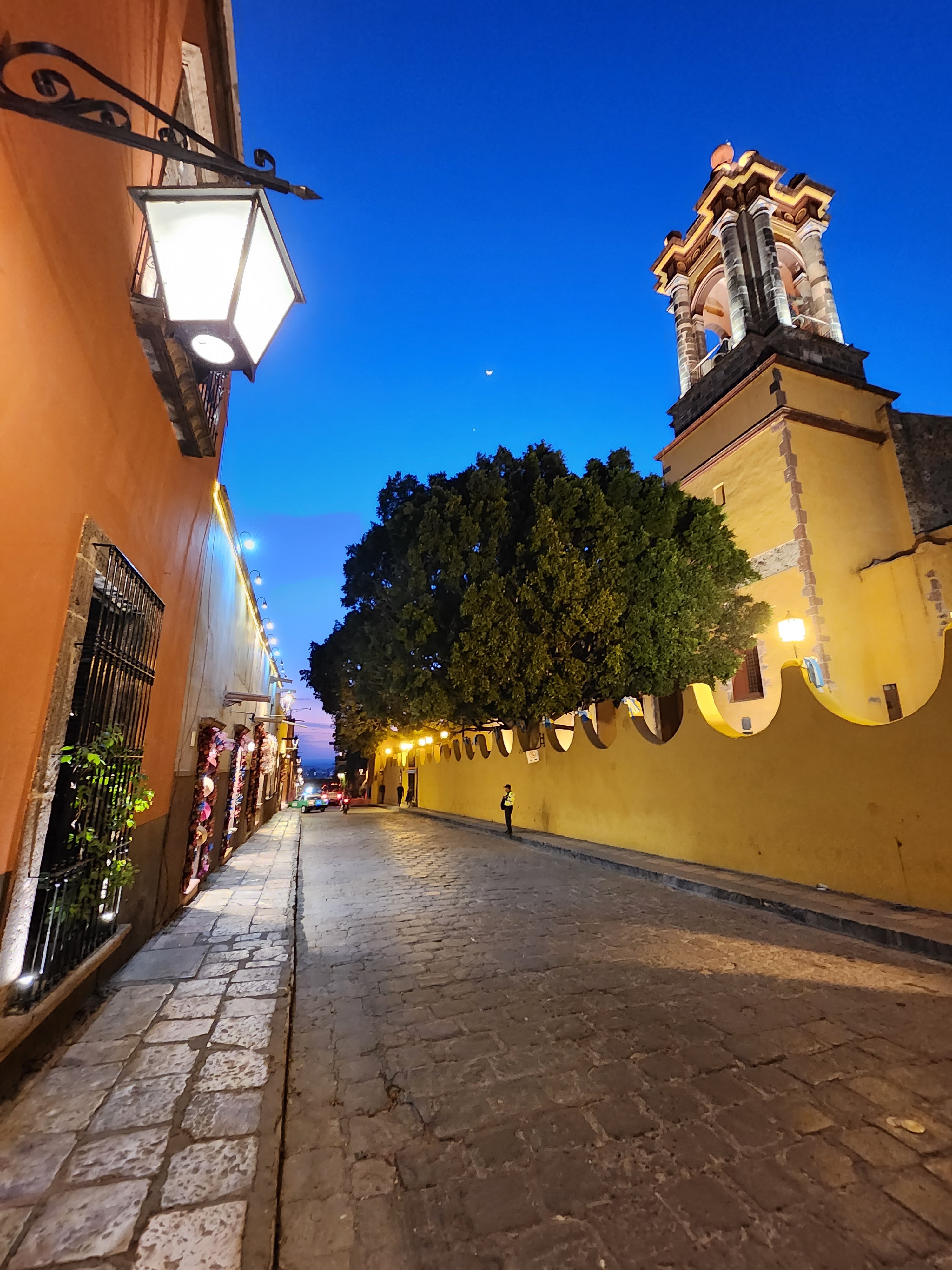 Garufa San Miguel de Allende image 4