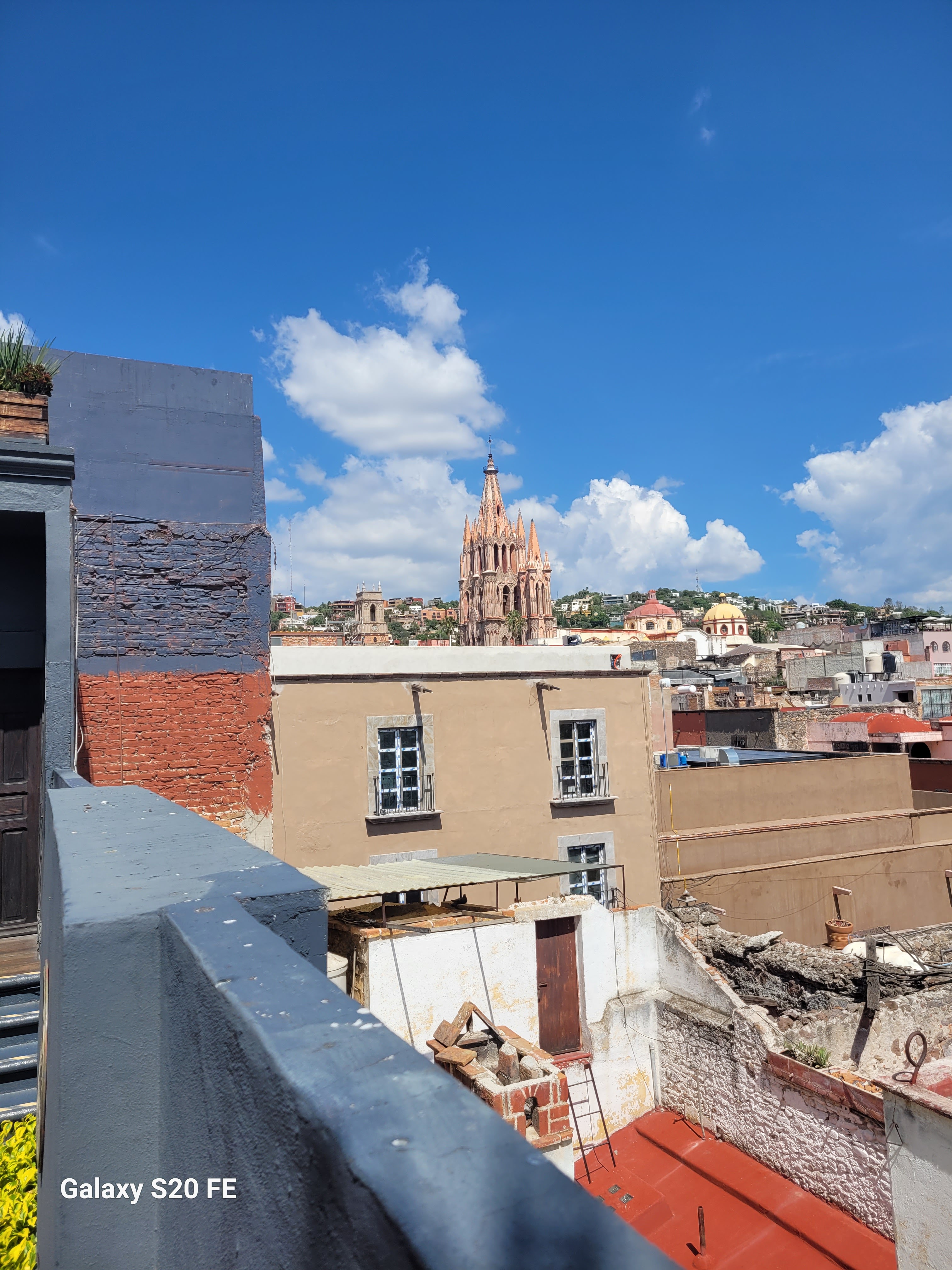 Garufa San Miguel de Allende image 8