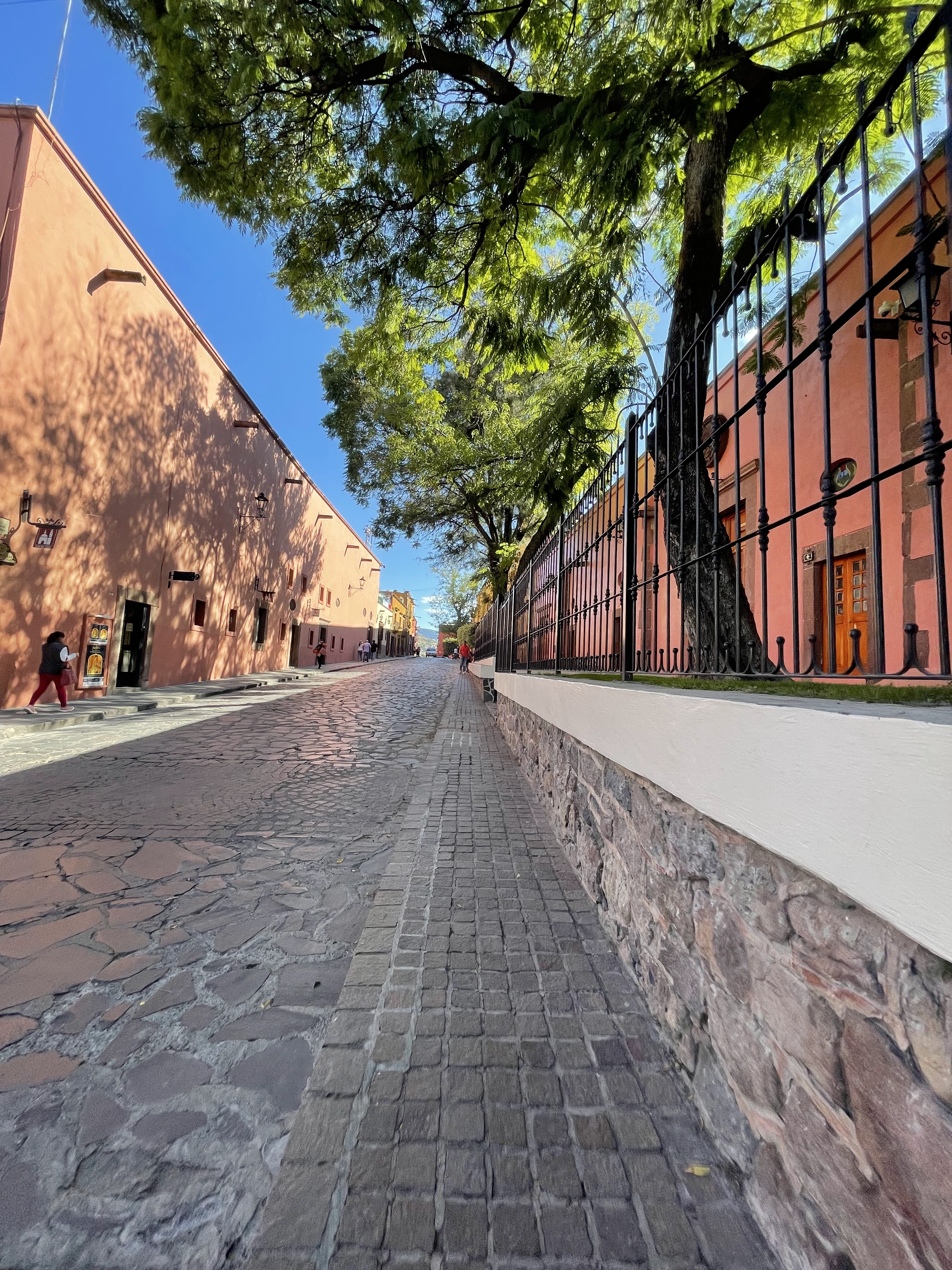 Vivali Restaurante Terraza Bar image 7