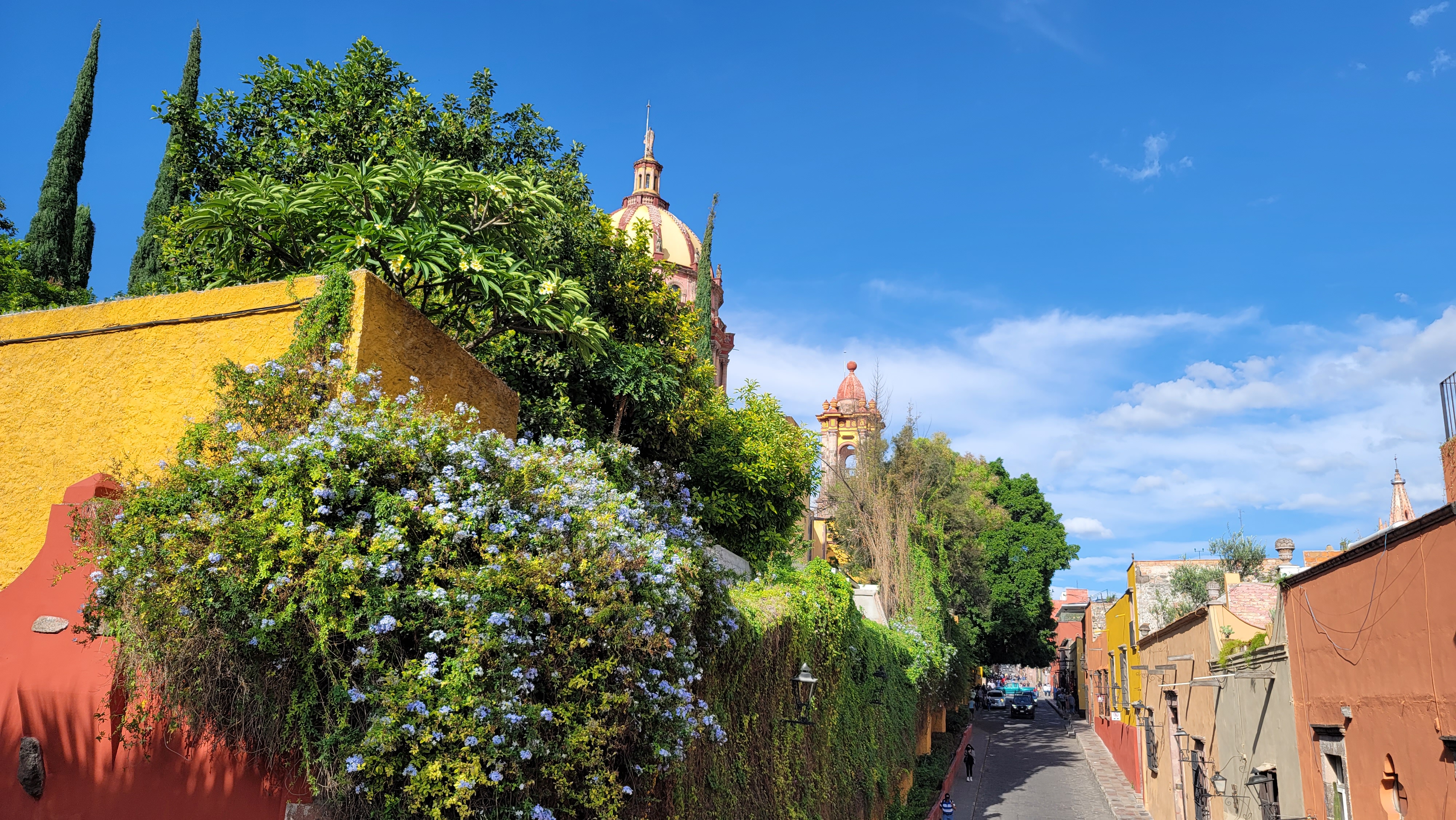 Zumo Rooftop Restaurant image 6