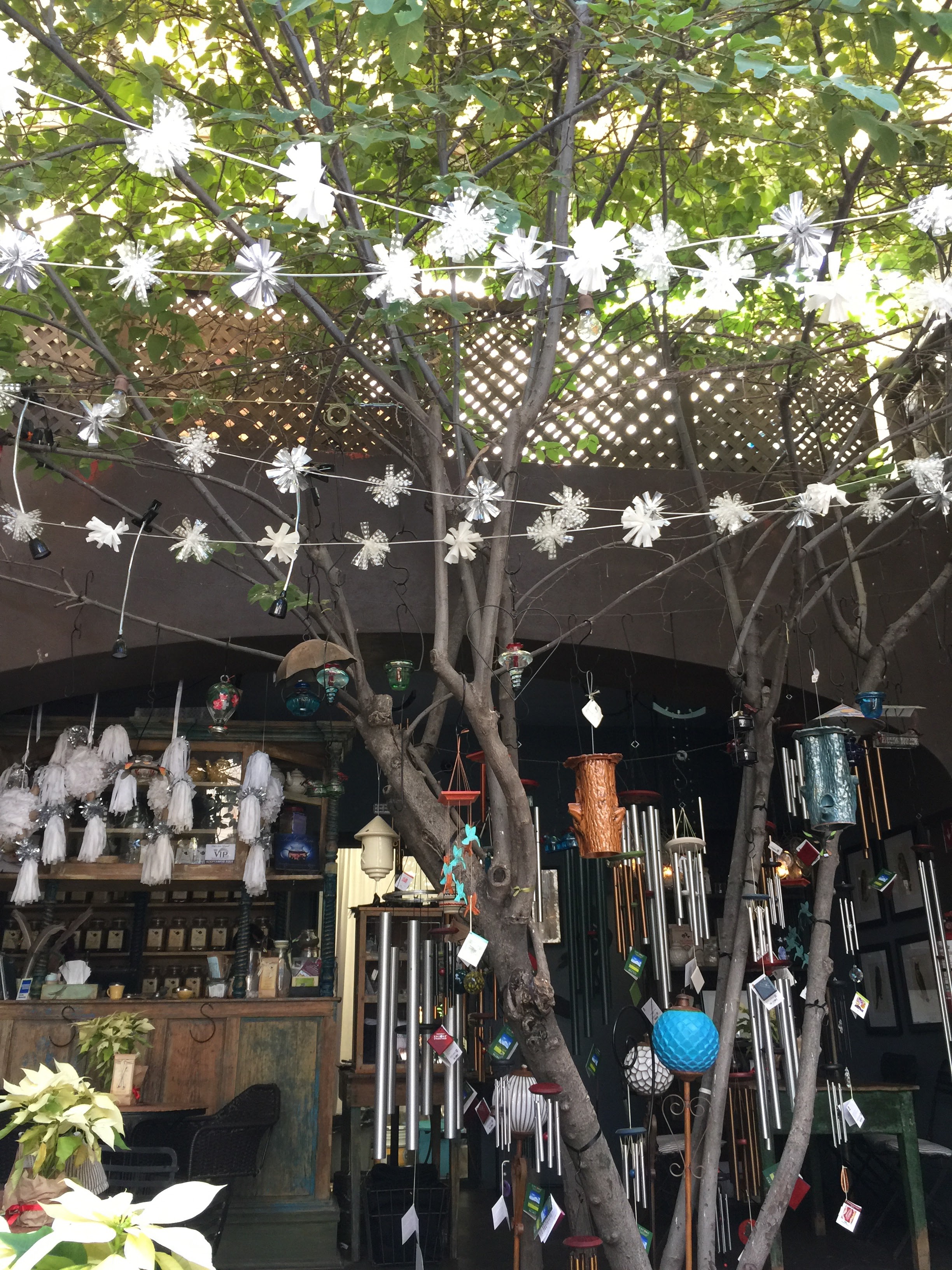 Nectar en Camino Silvestre Restaurante image 8