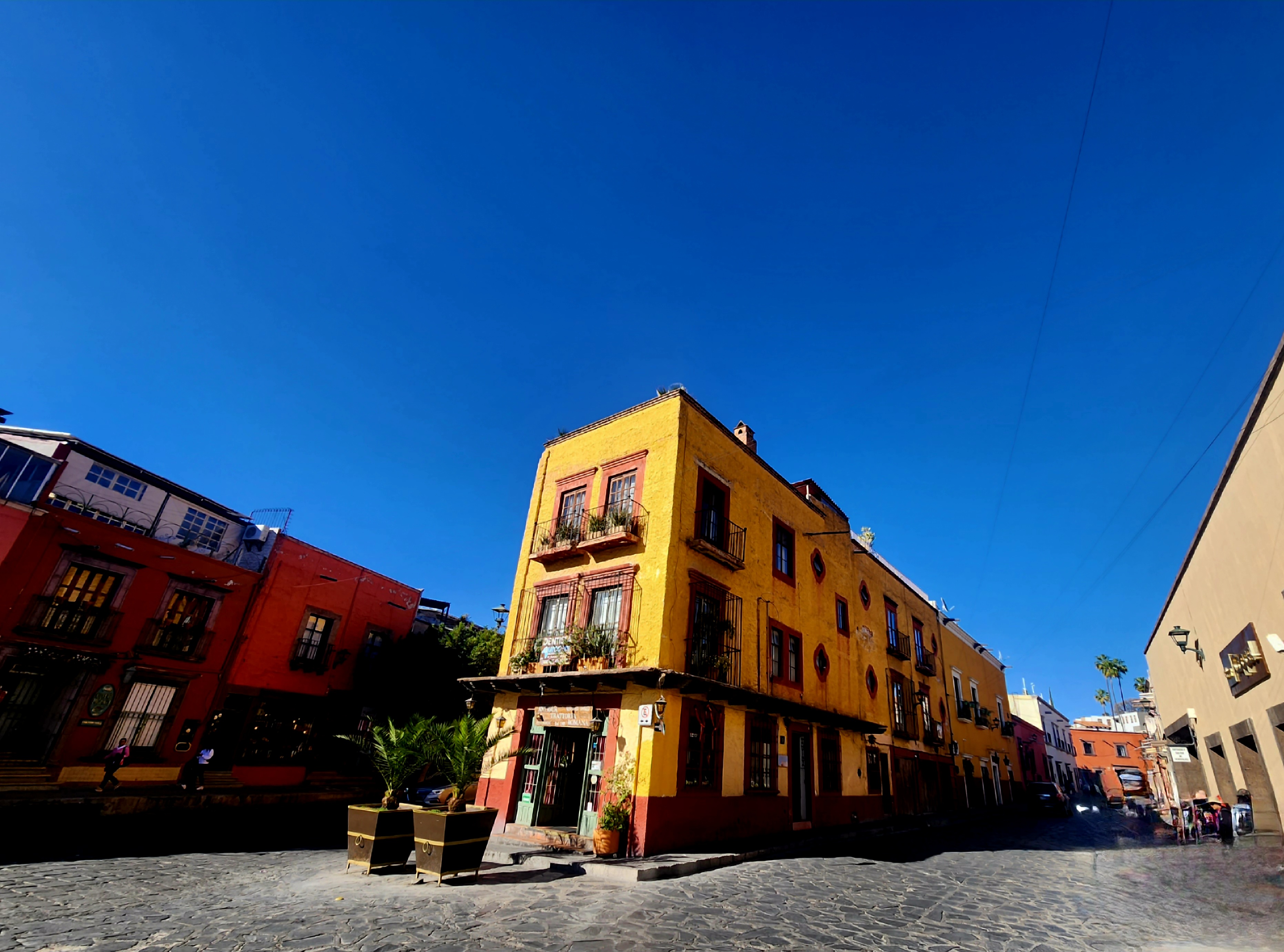 Antigua Trattoria Romana. Alberto is our waiter. image 3