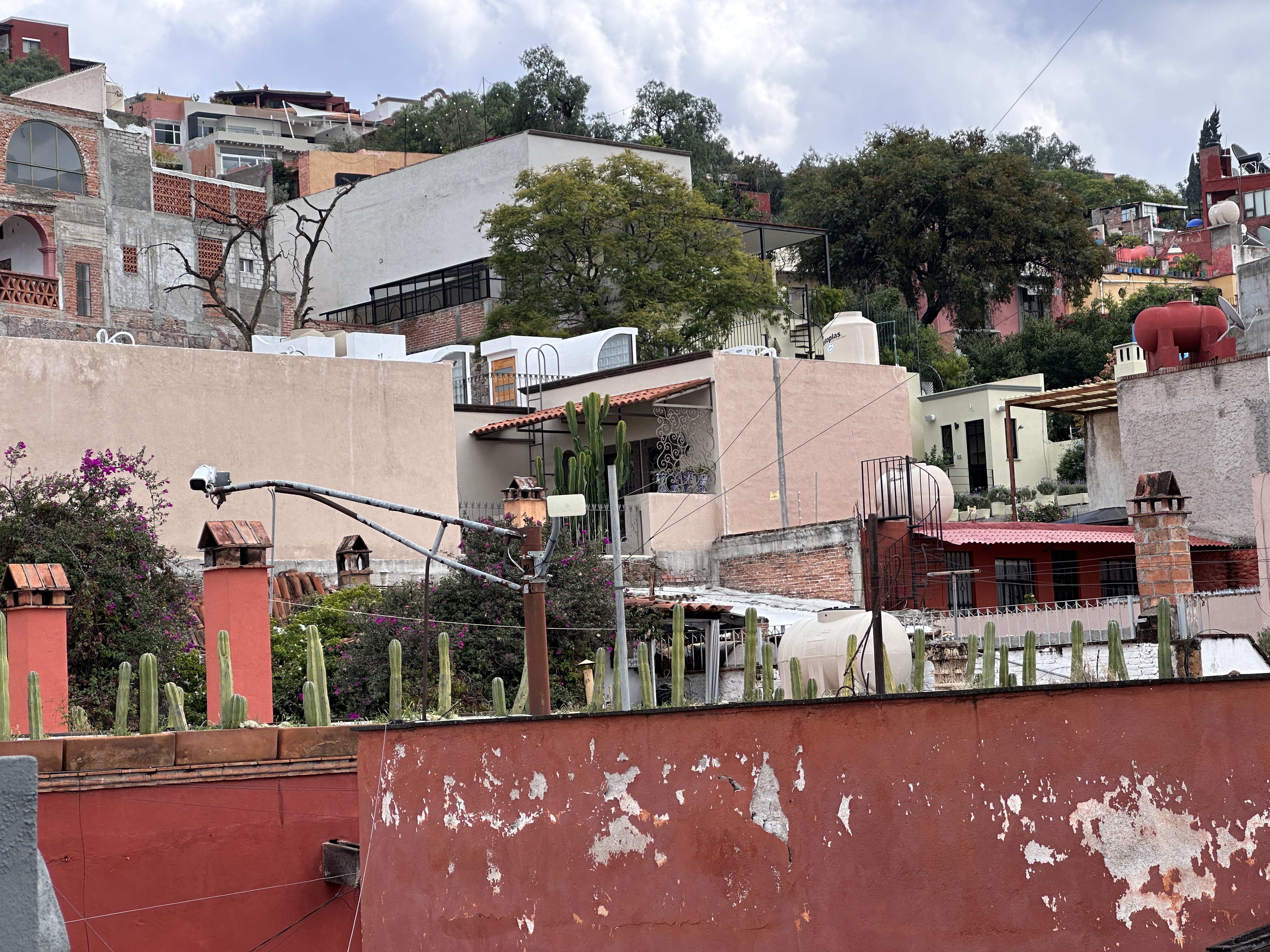 La Terracita image 4