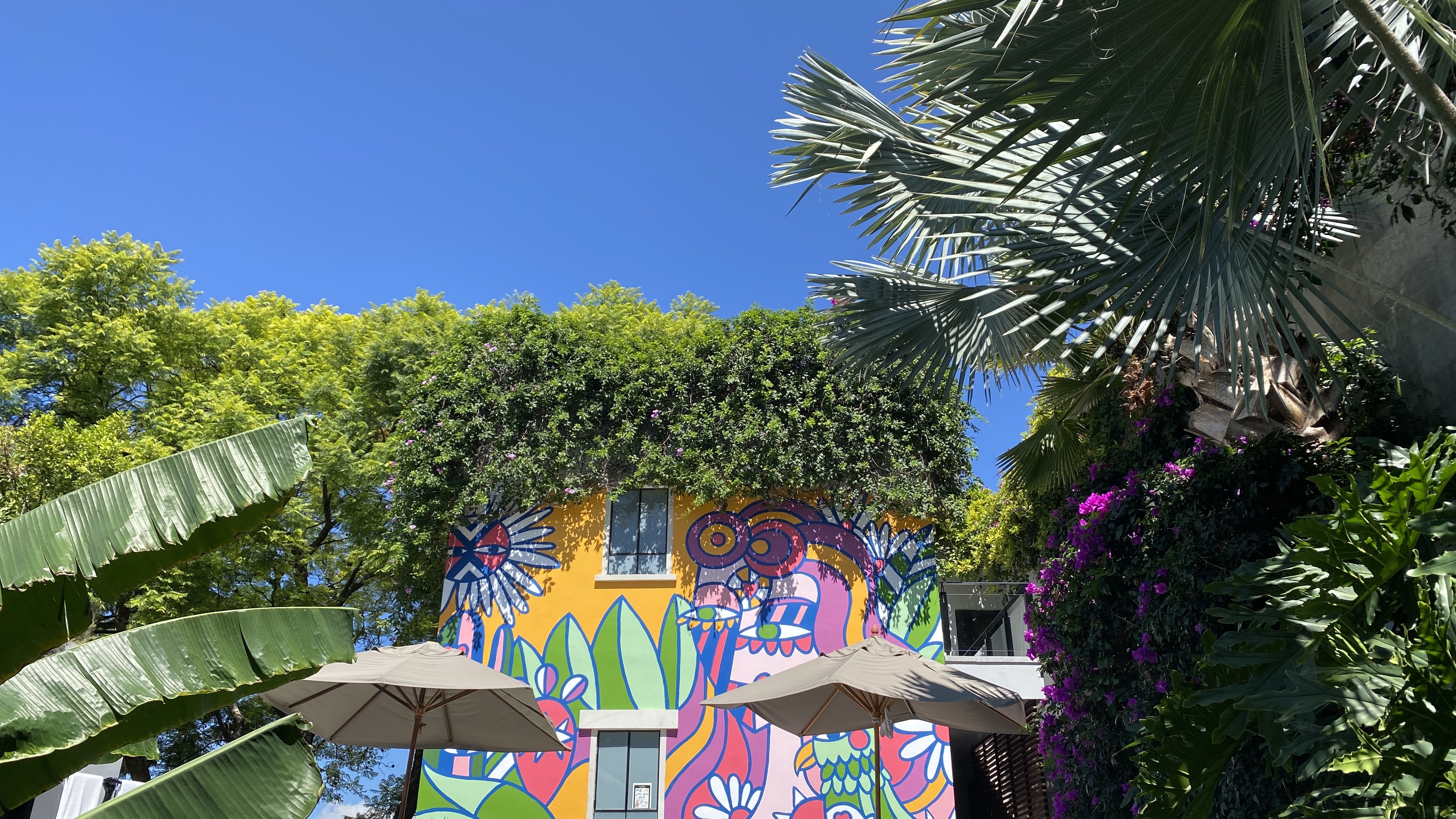 Moxi Restaurant image 5