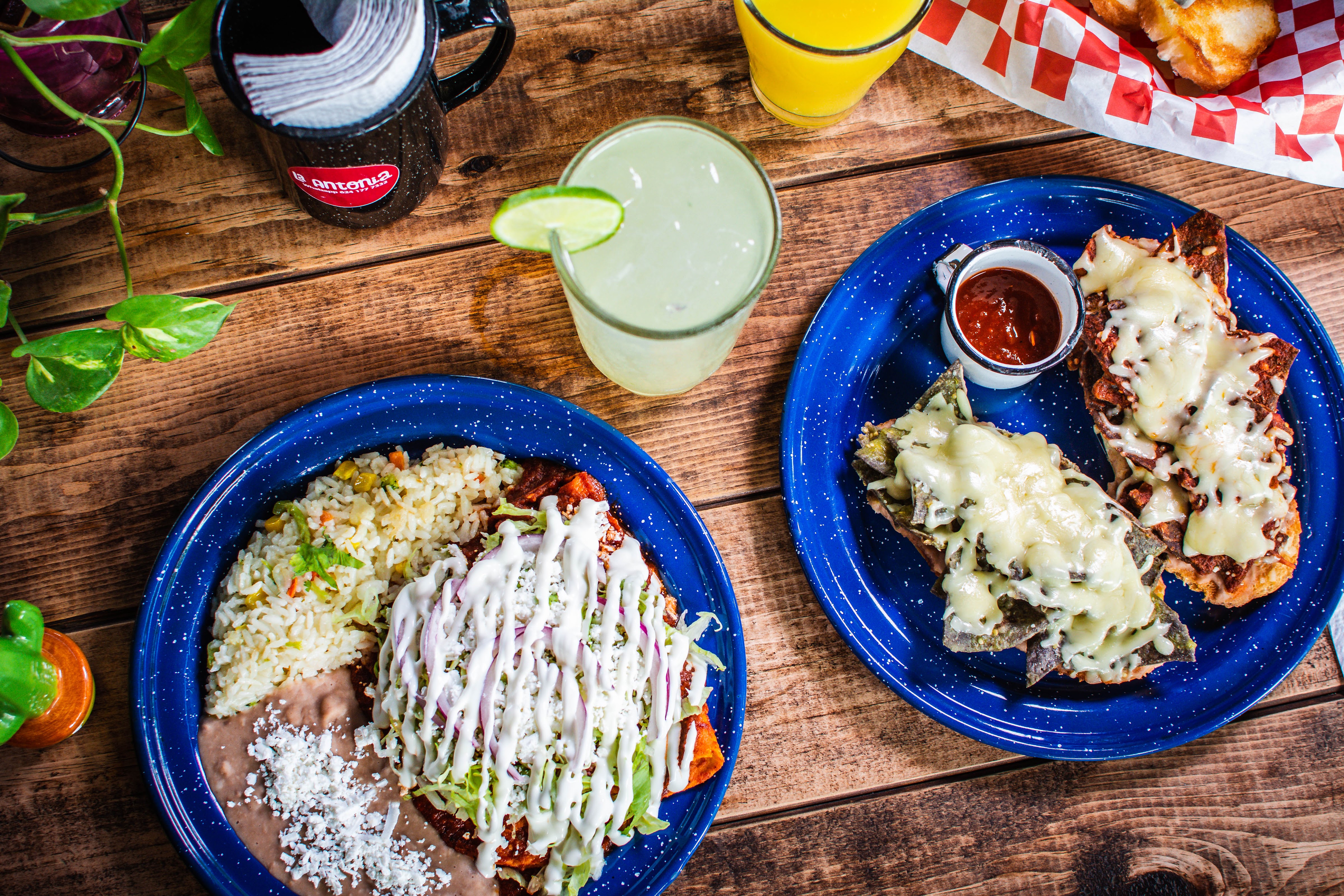 La Antonia Restaurante San José del Cabo image 2