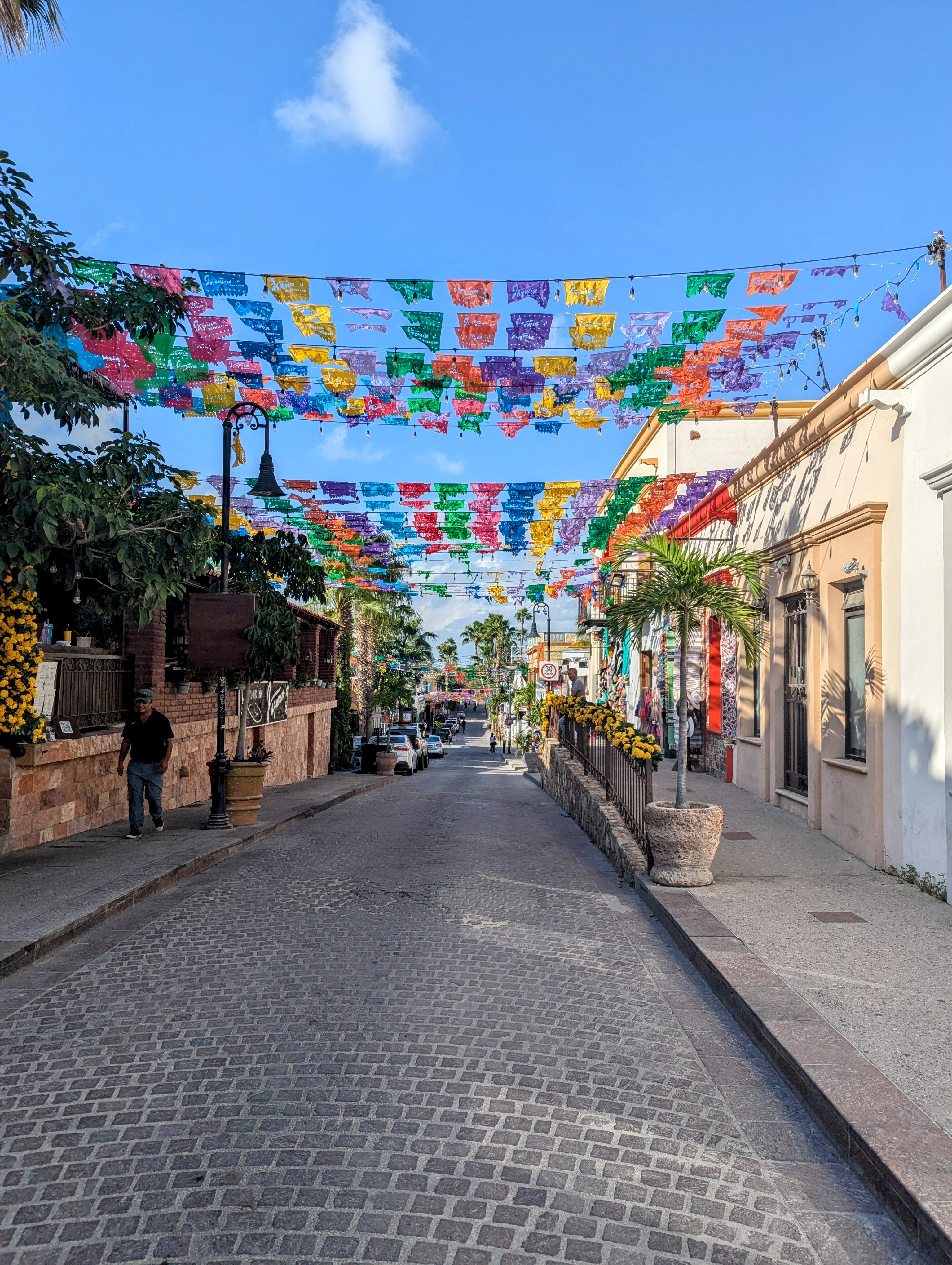 Jazmin's Restaurant image 6