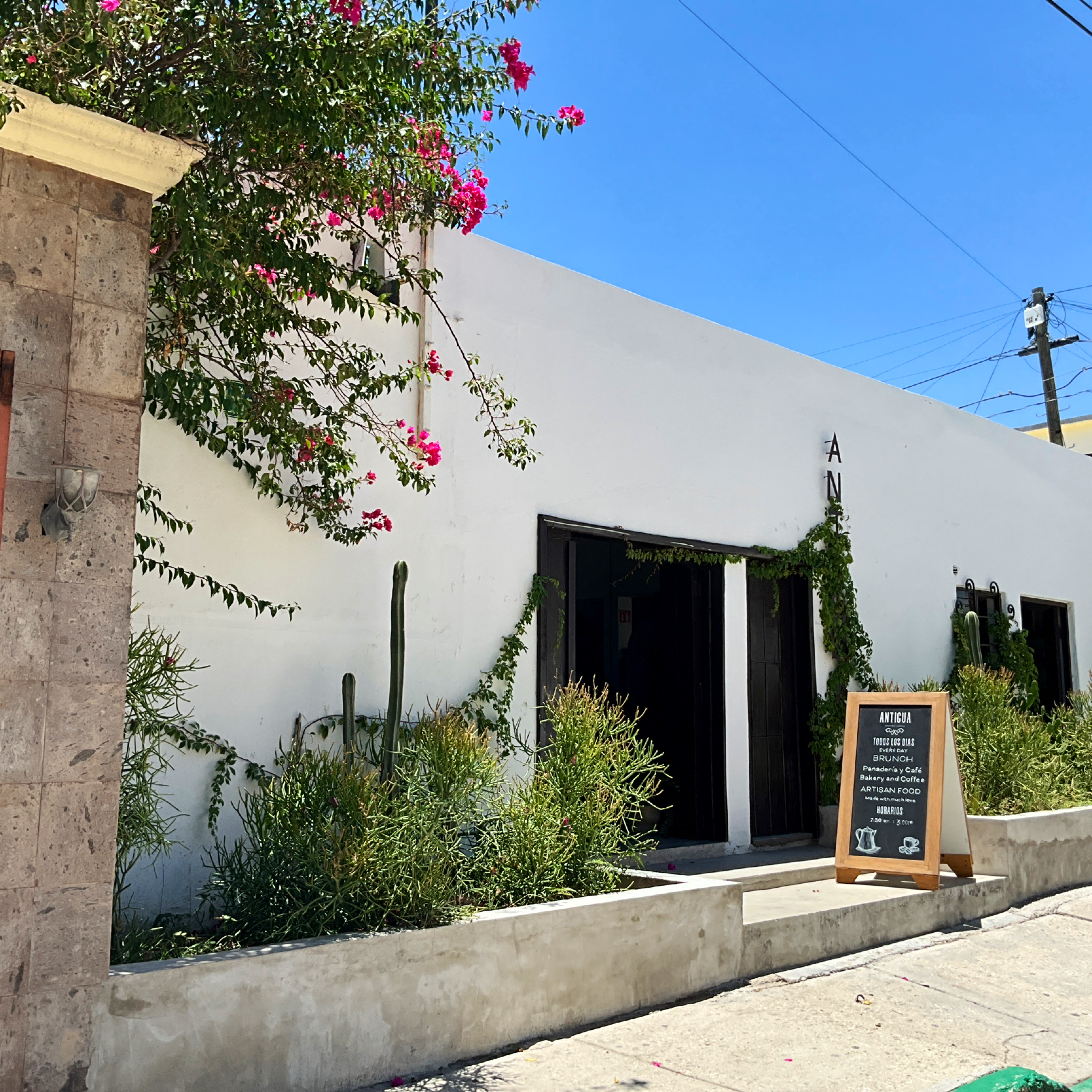 Antigua Café image 6