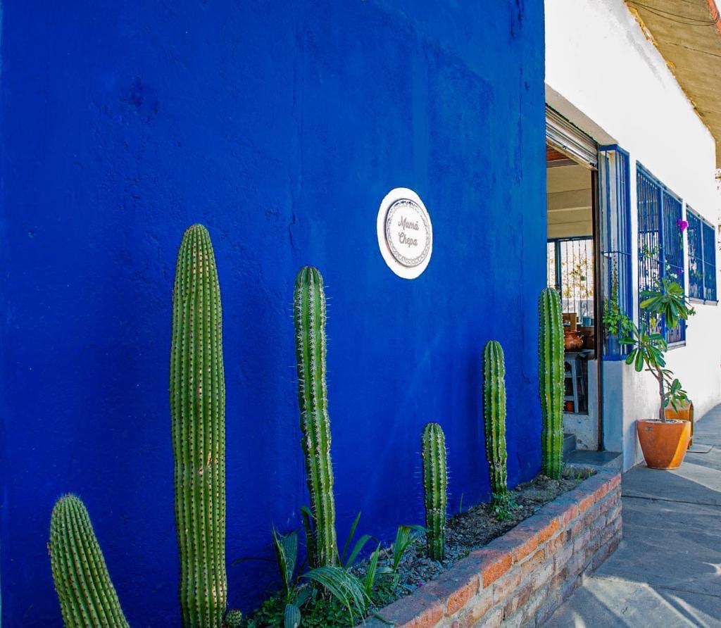 Mamá Chepa Restaurante image 4