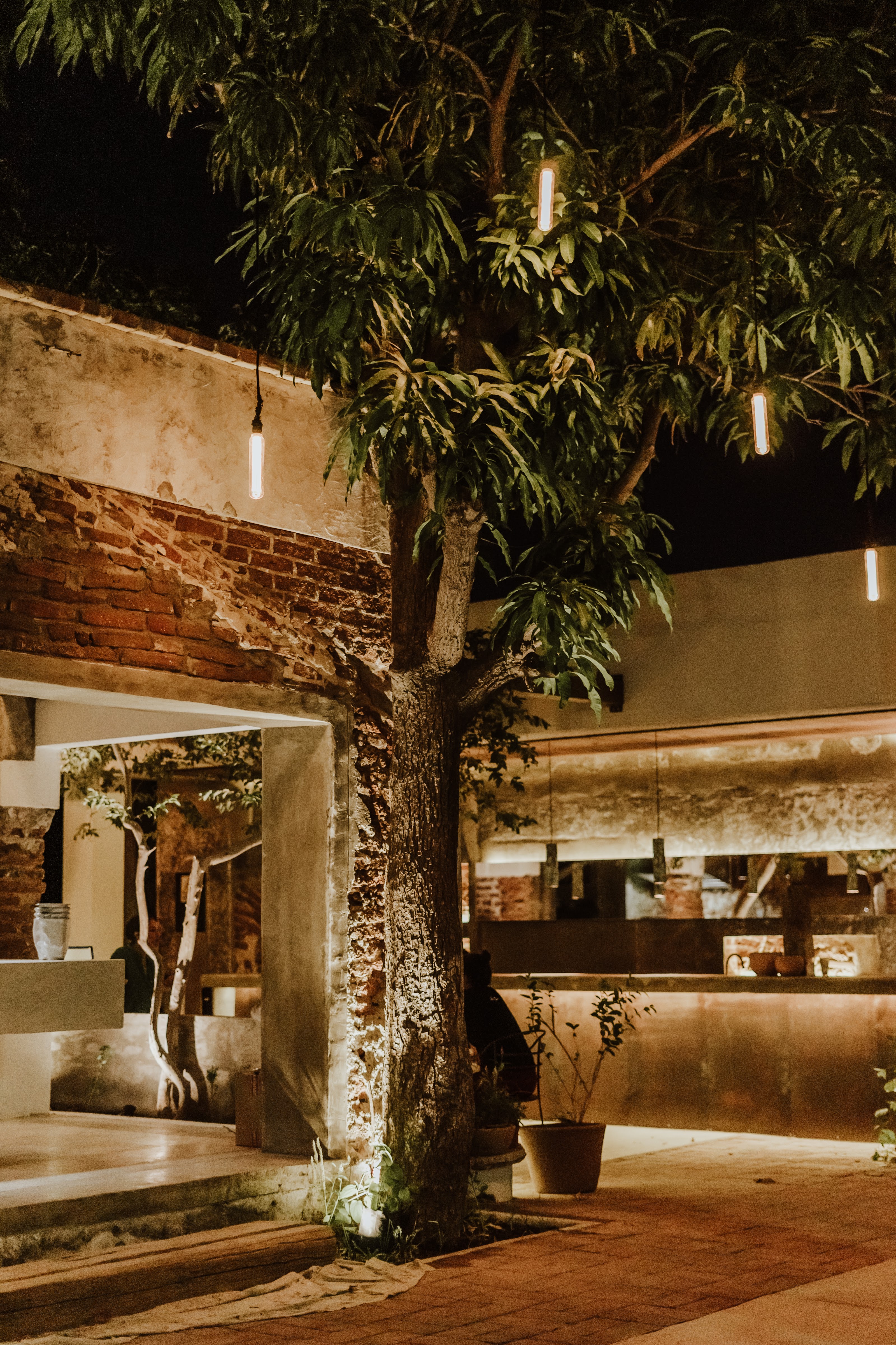 Kitchen San José del Cabo image 3