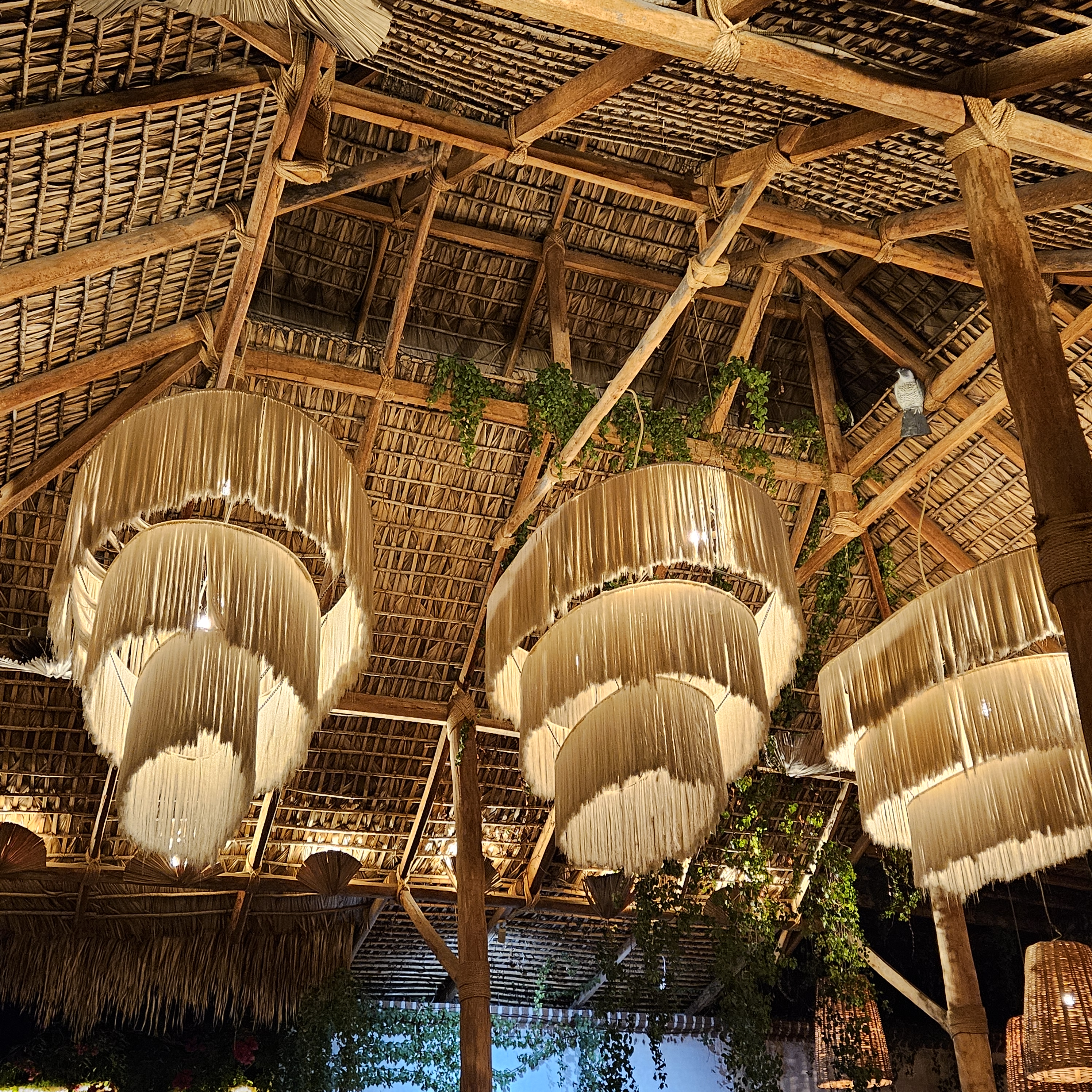 Don Sanchez Restaurant image 4