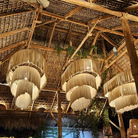 Don Sanchez Restaurant image 4
