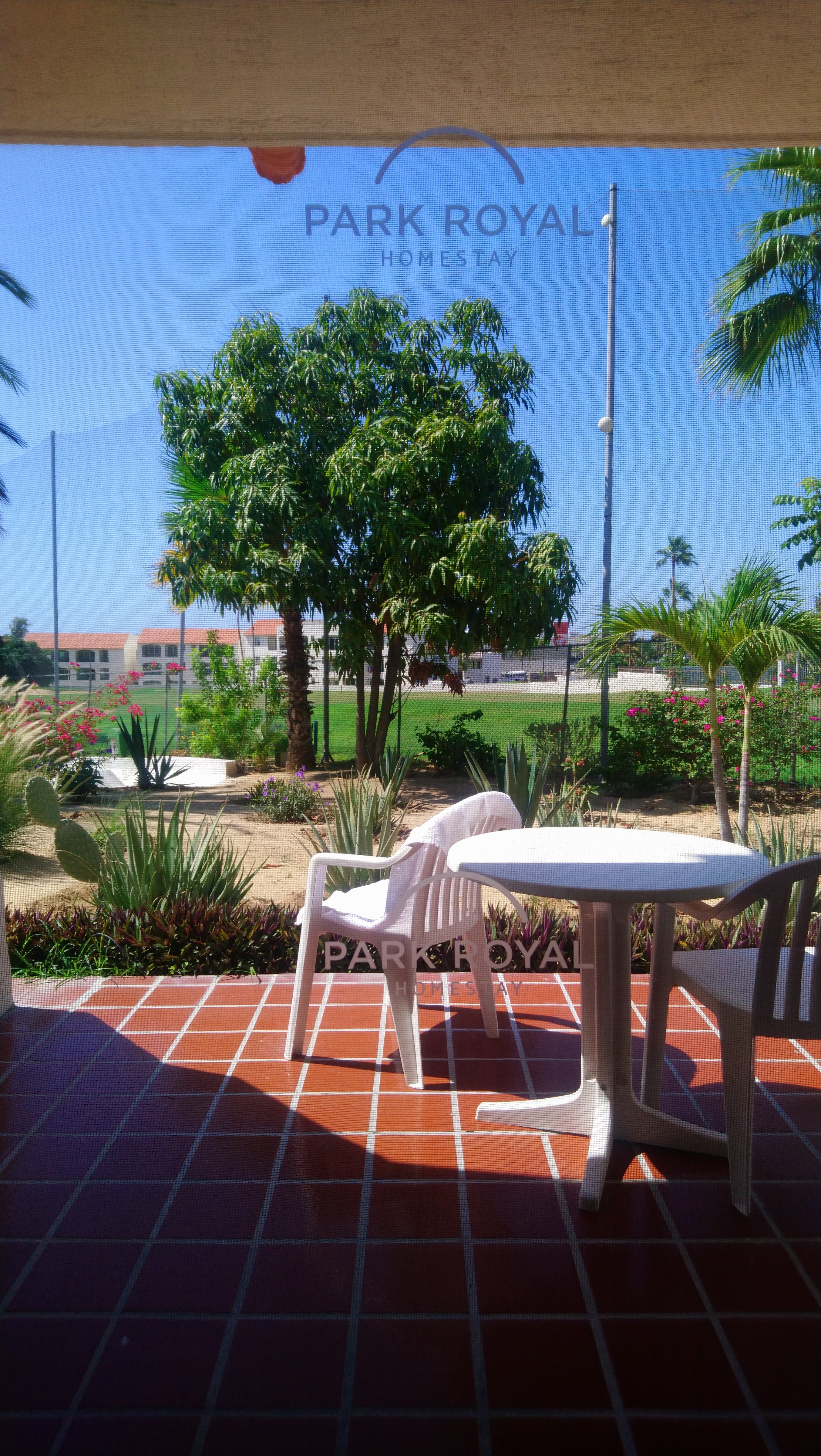 Restaurante Bar El Patio image 1