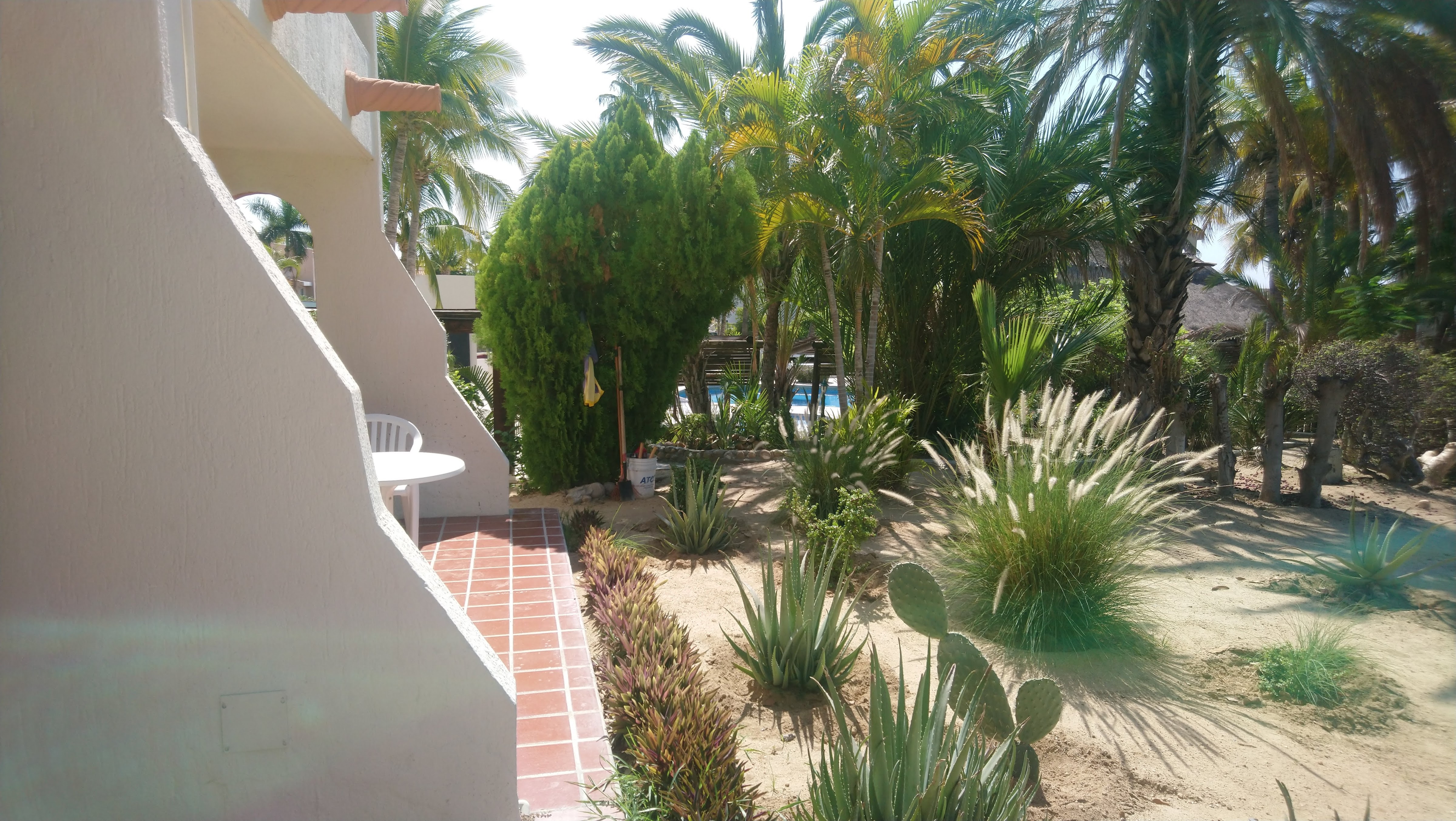 Restaurante Bar El Patio image 4