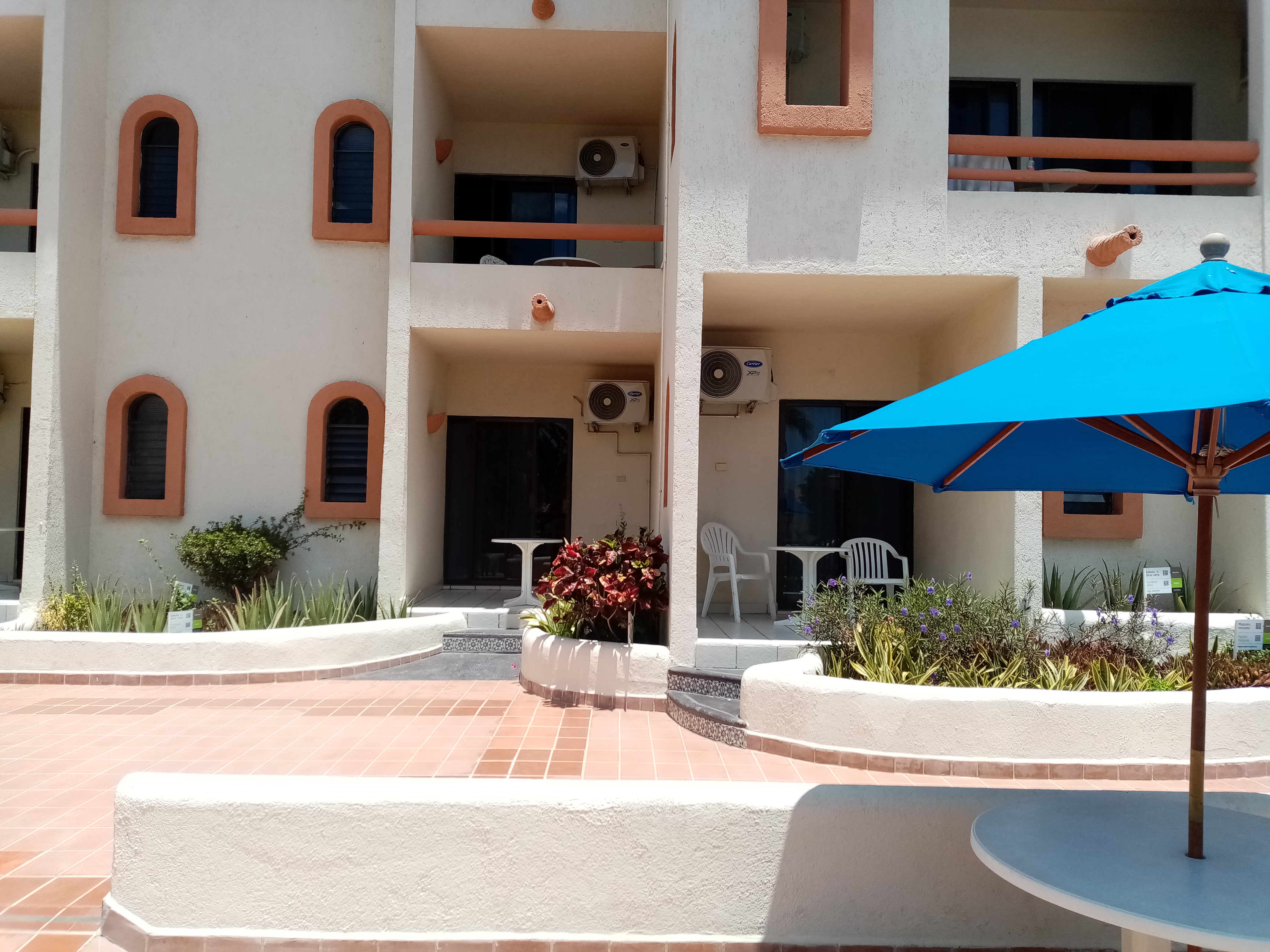 Restaurante Bar El Patio image 5