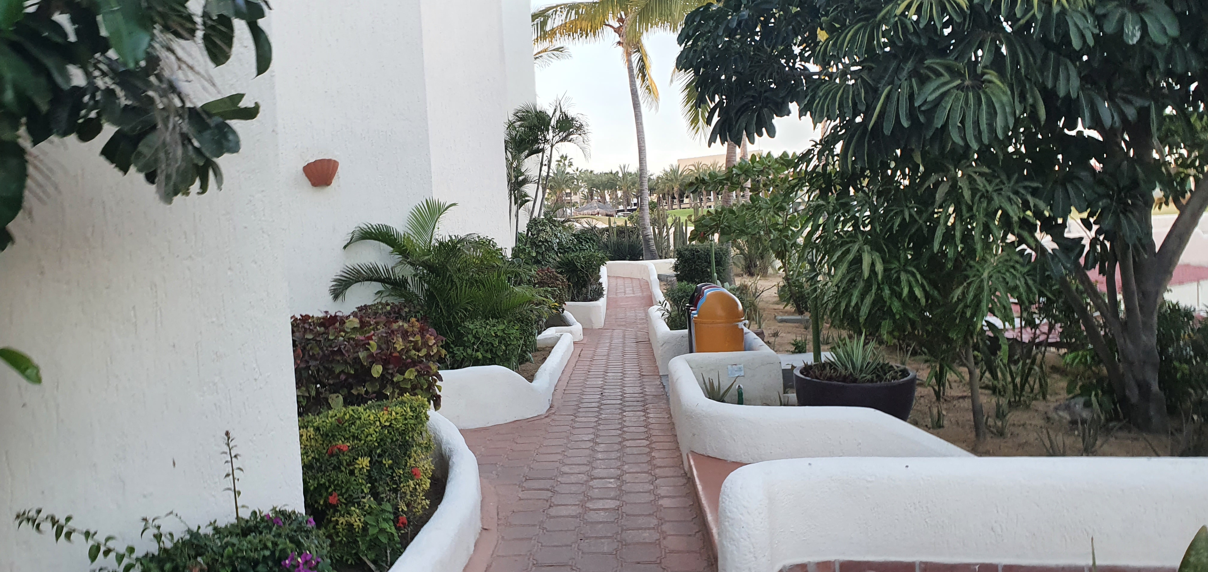 Restaurante Bar El Patio image 6