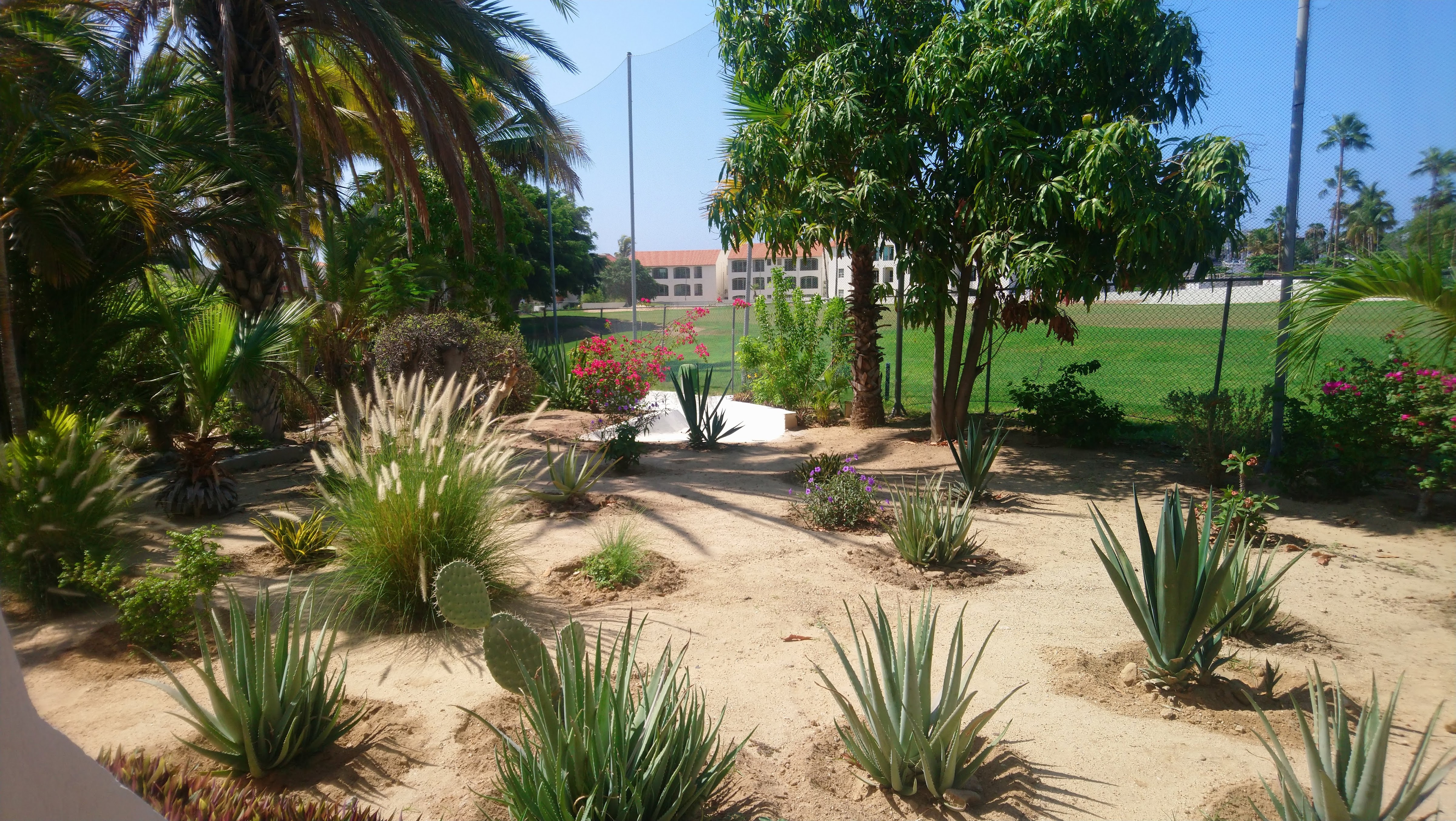 Restaurante Bar El Patio image 7