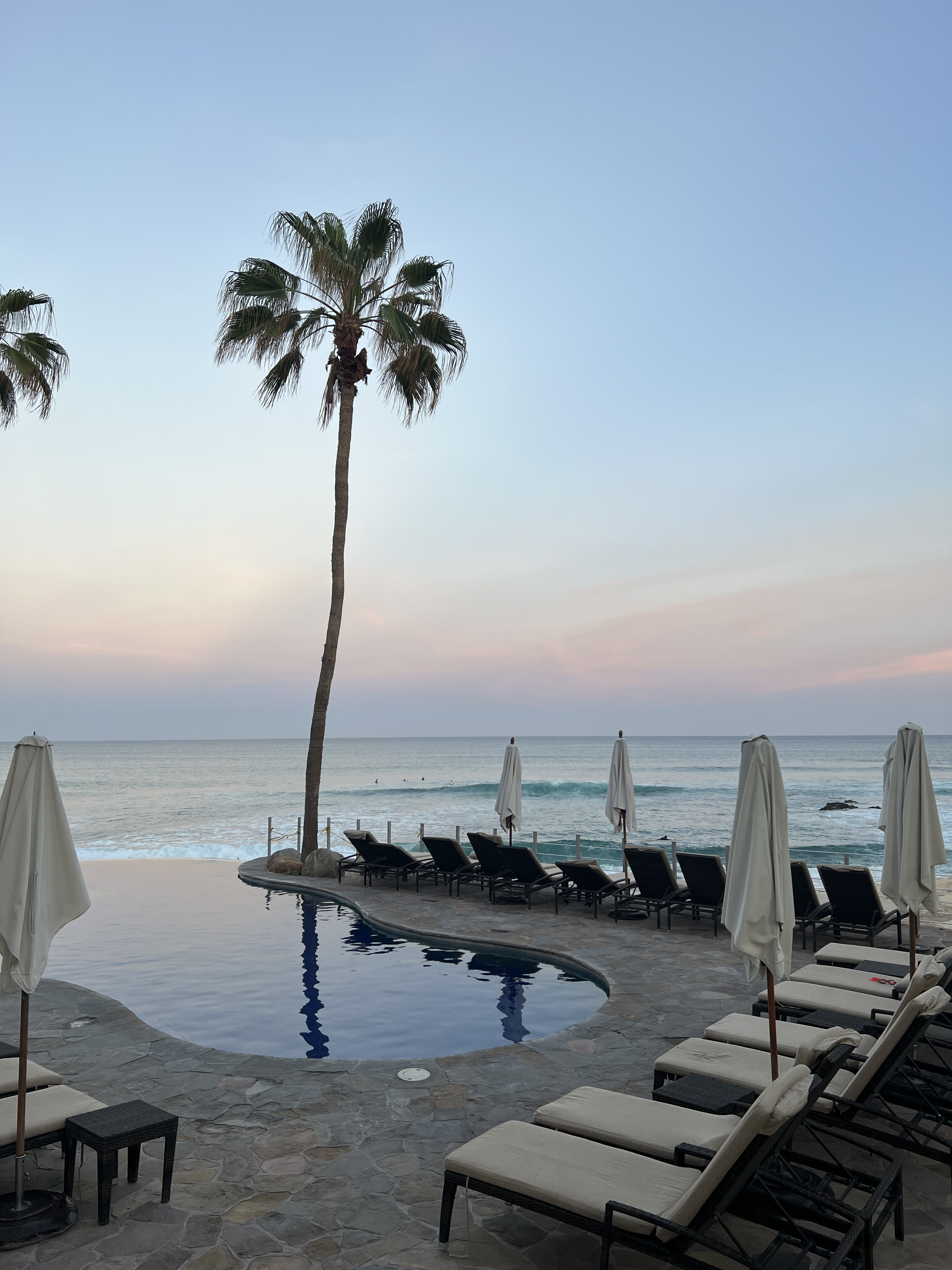 7 Seas Grille & Seafood image 8