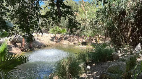 Semillon image 7