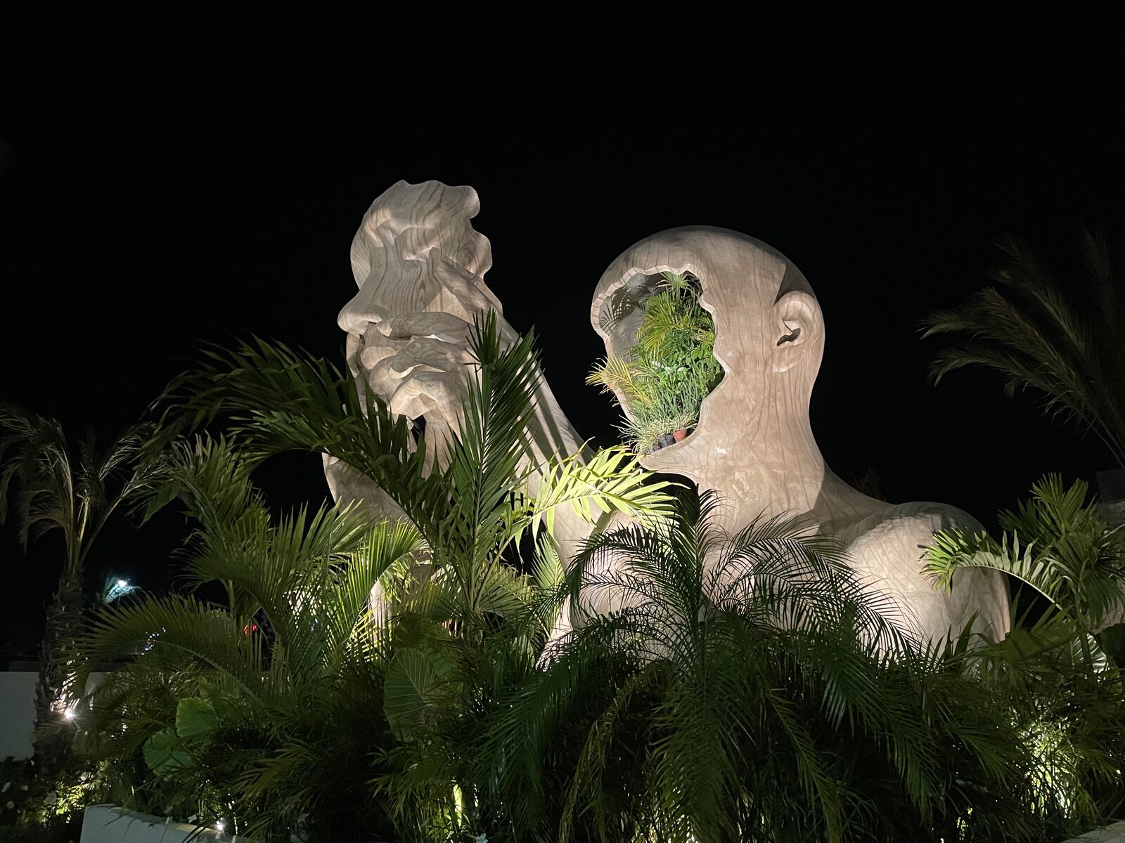 Chambao Los Cabos | Best Steakhouse in San Jose image 3