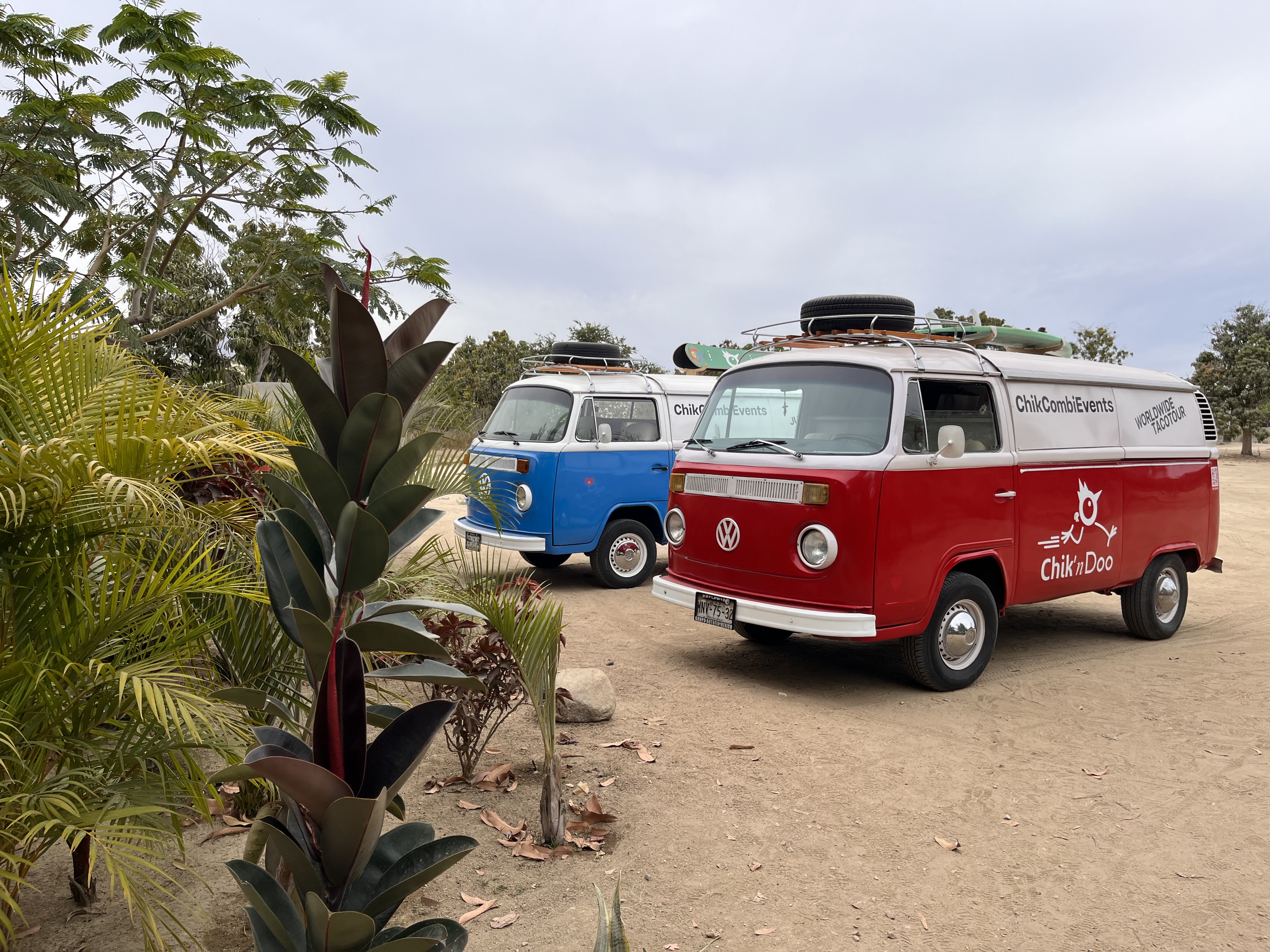 Chik’n Doo image 4