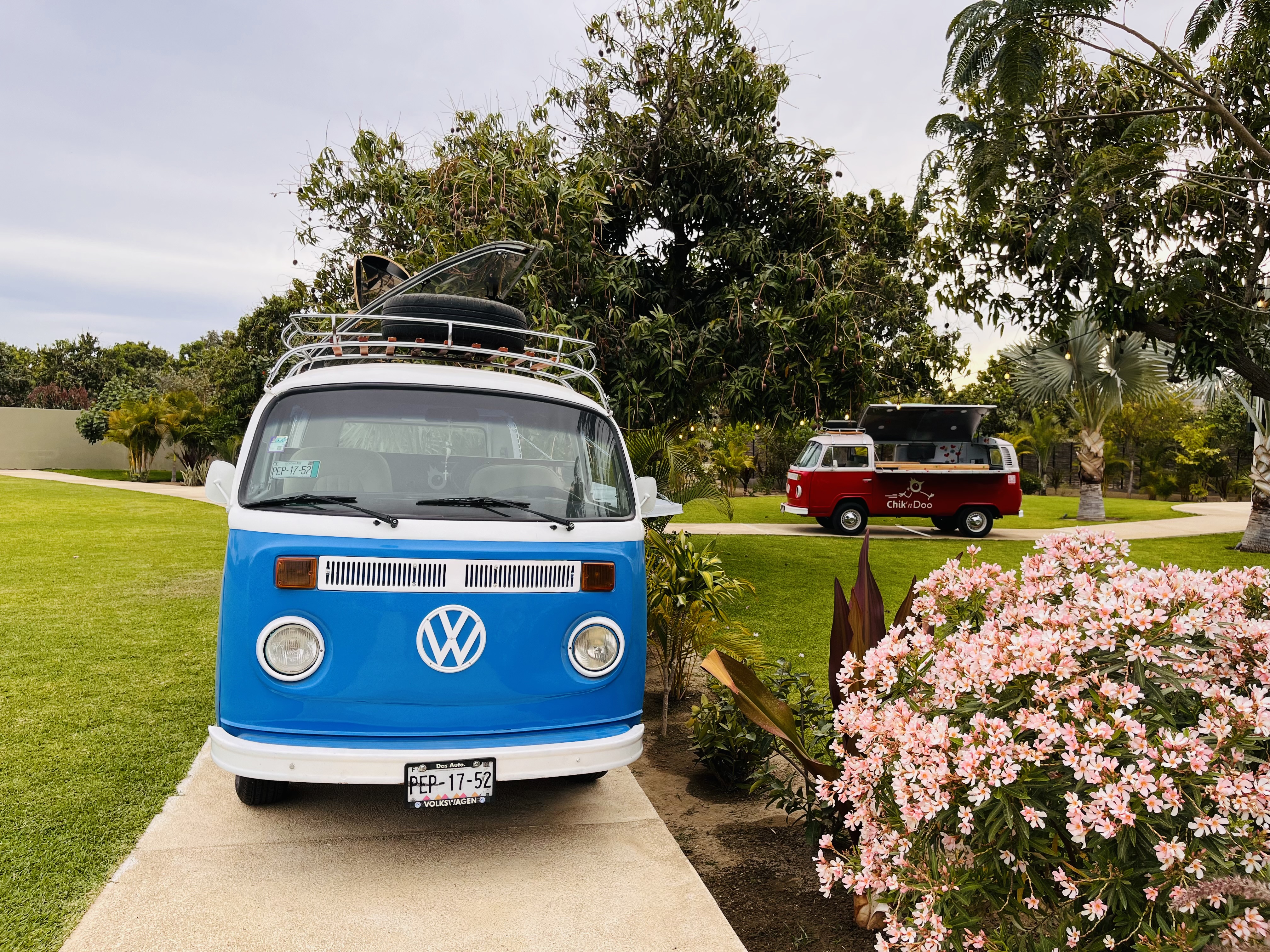 Chik’n Doo image 10