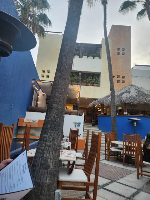 Mi Cocina Restaurant image 3