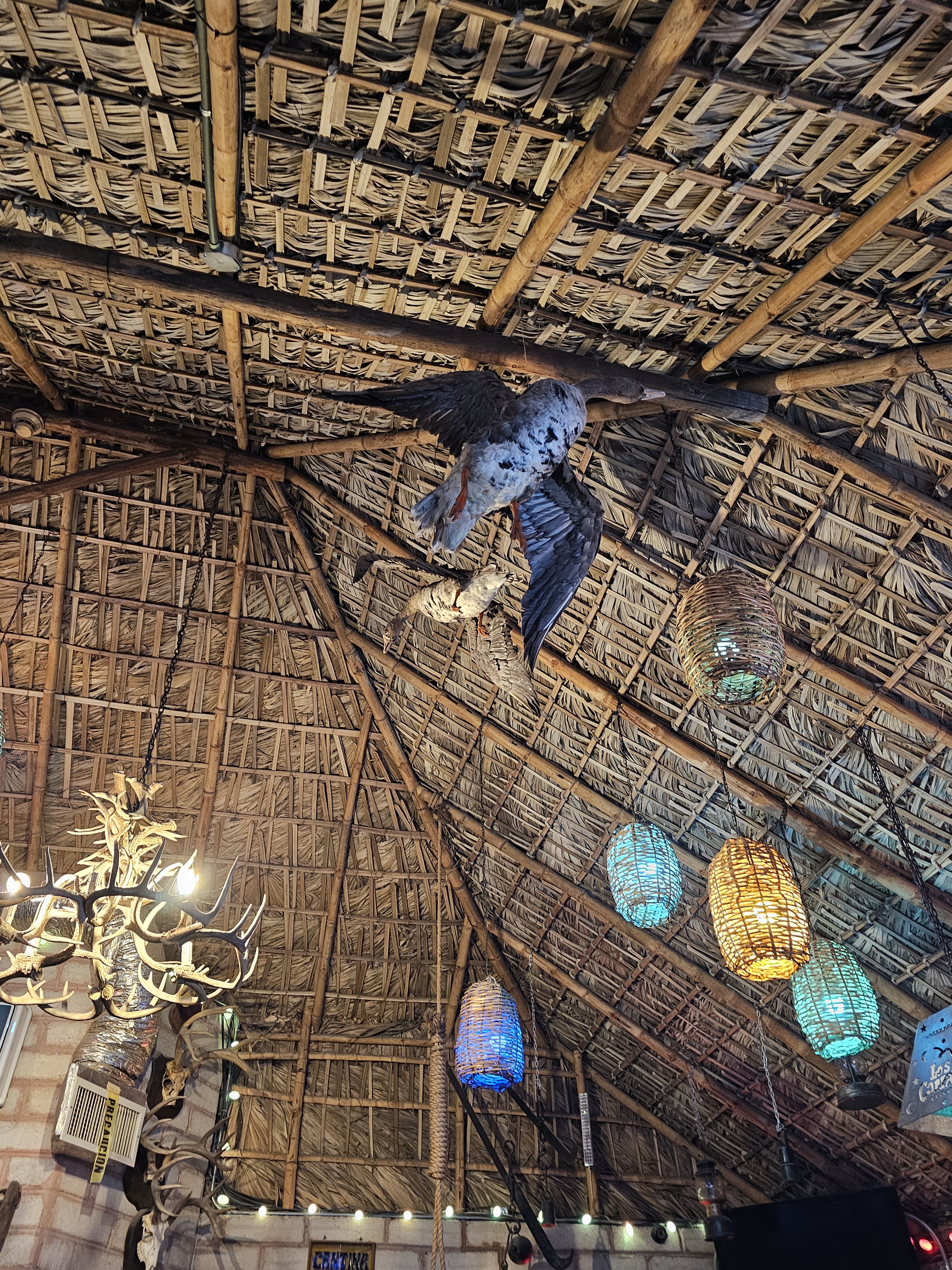 Los Corrales image 9