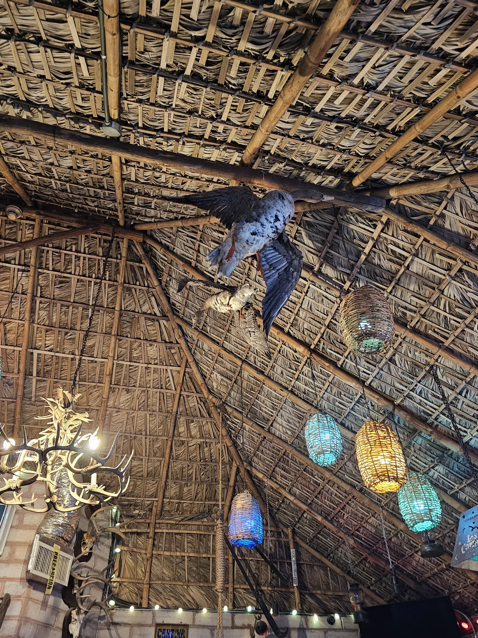 Los Corrales image 9