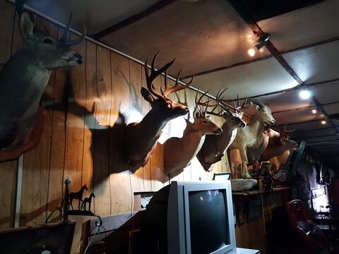 Ciro's Bar image 4