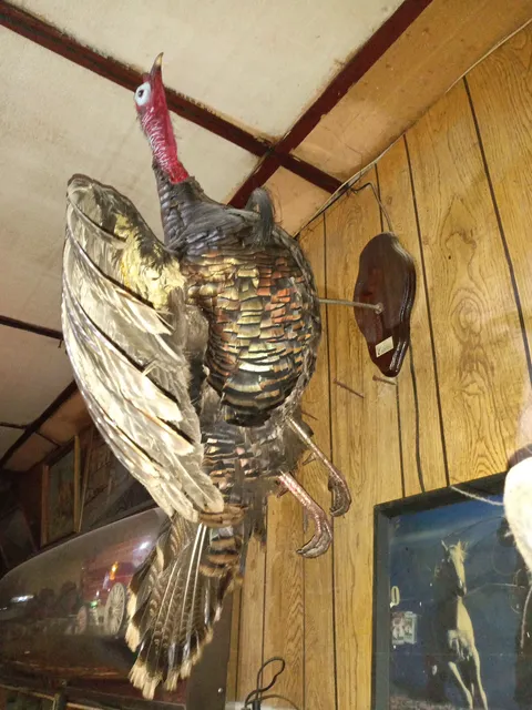 Ciro's Bar image 5