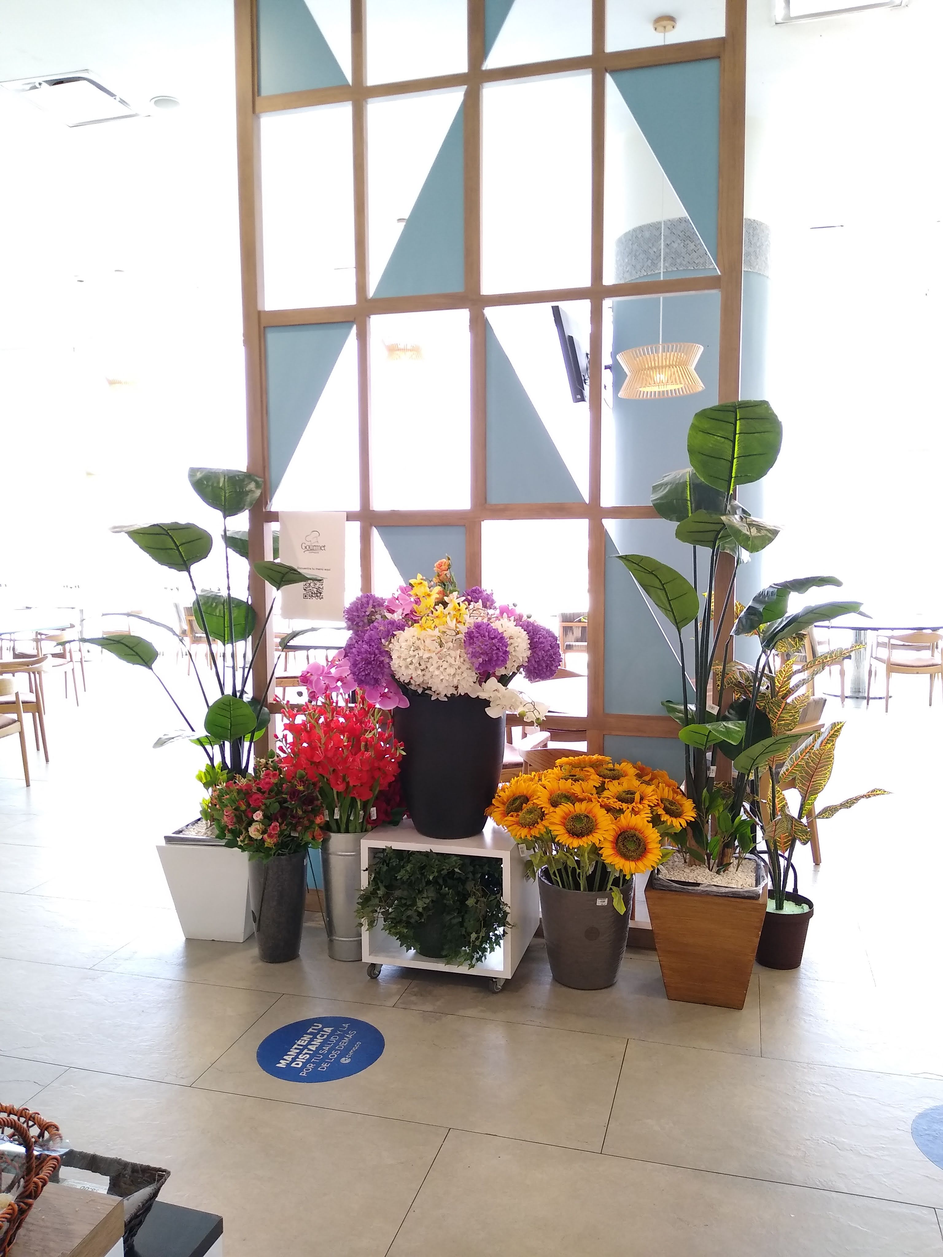 Restaurante Gourmet Cimaco image 10