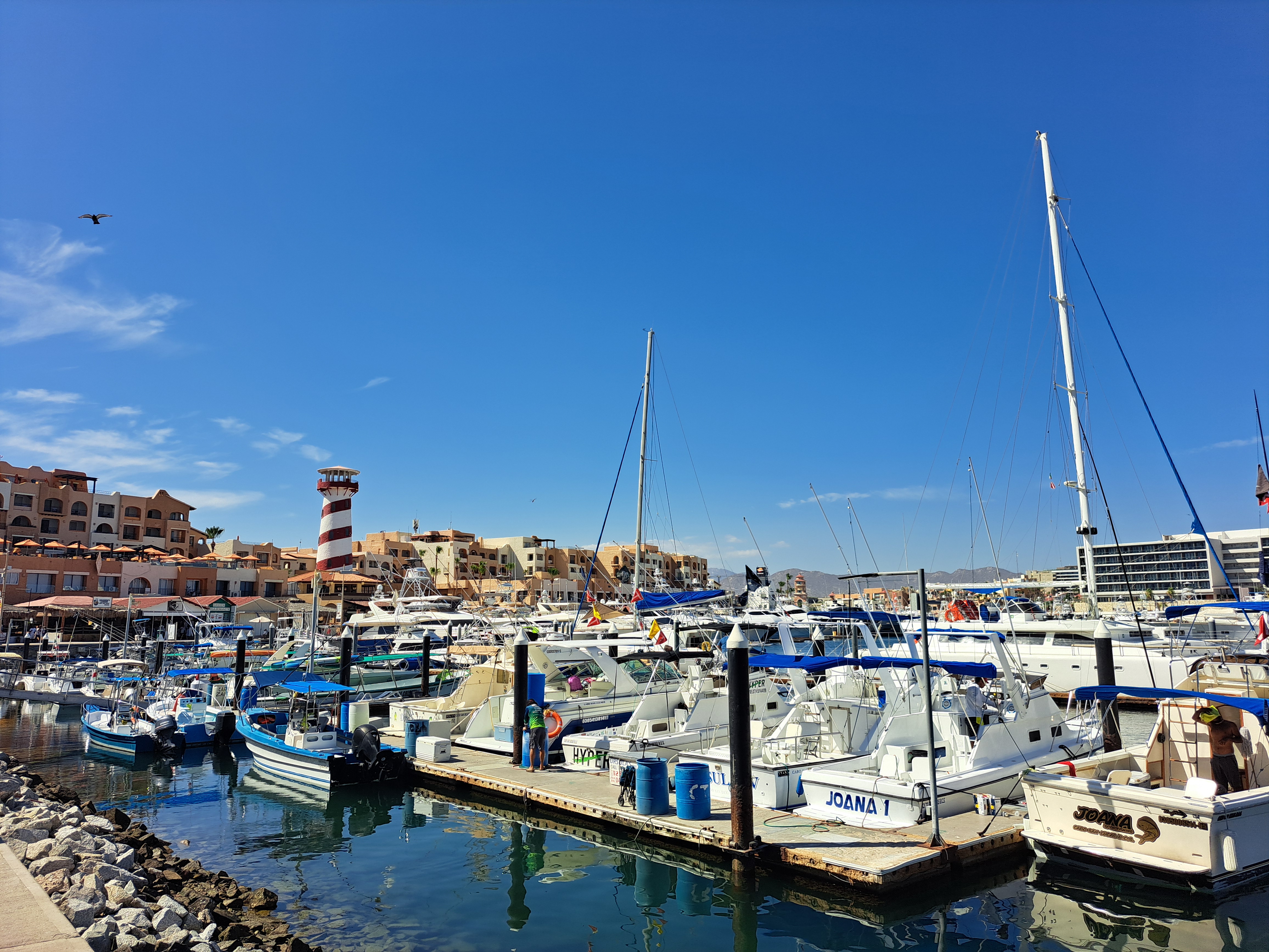 Solomon's Landing Los Cabos image 4