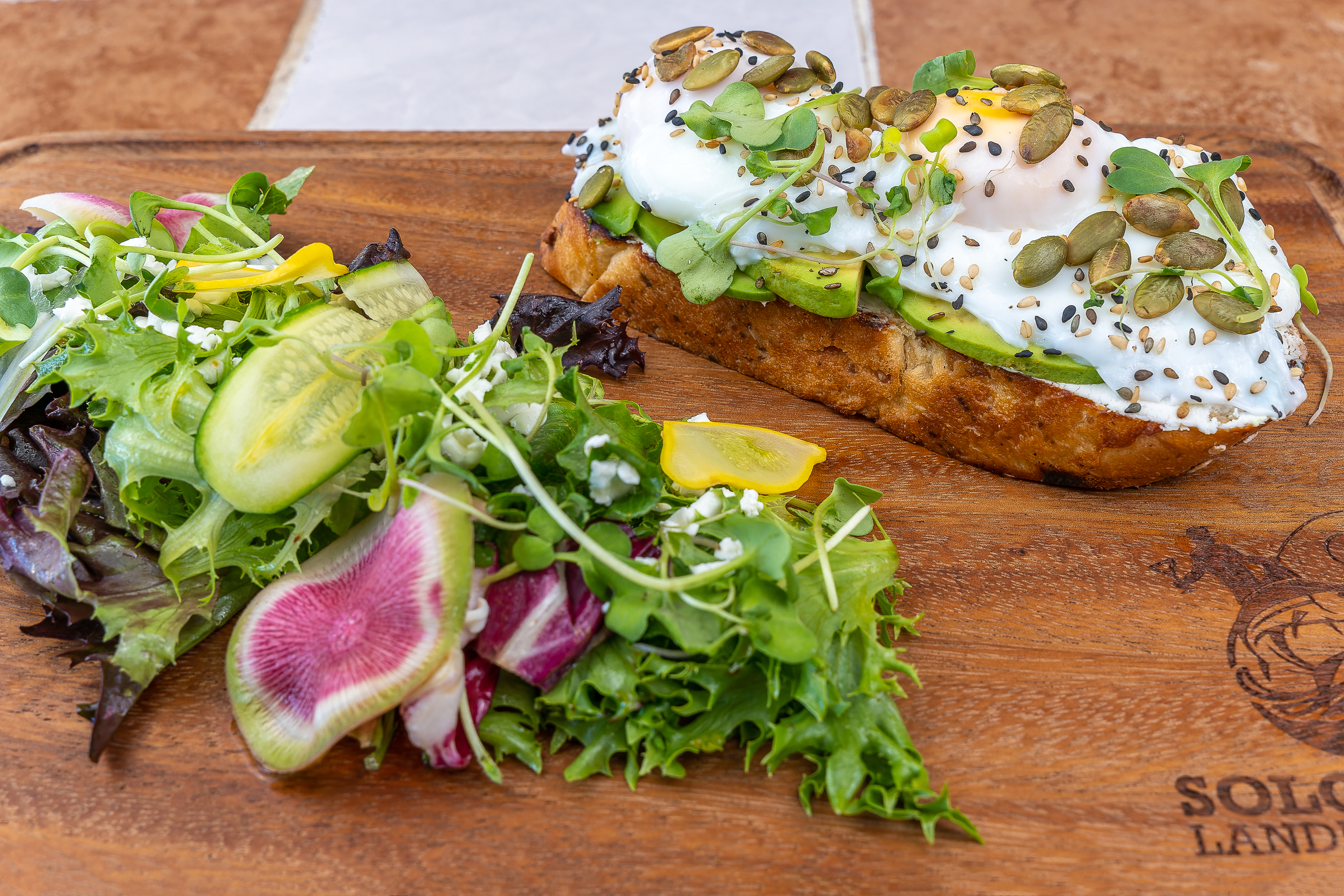 Solomon's Landing Los Cabos image 5