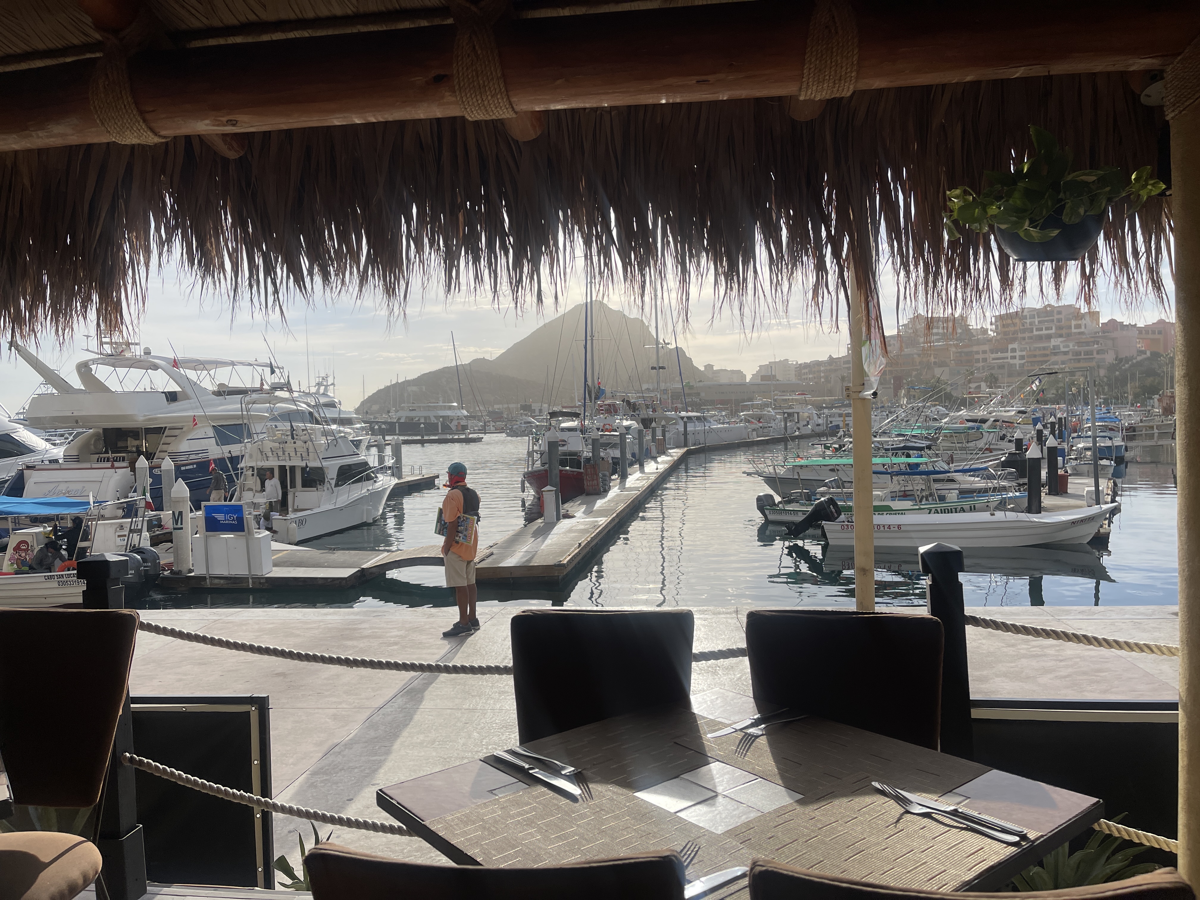 Solomon's Landing Los Cabos image 9