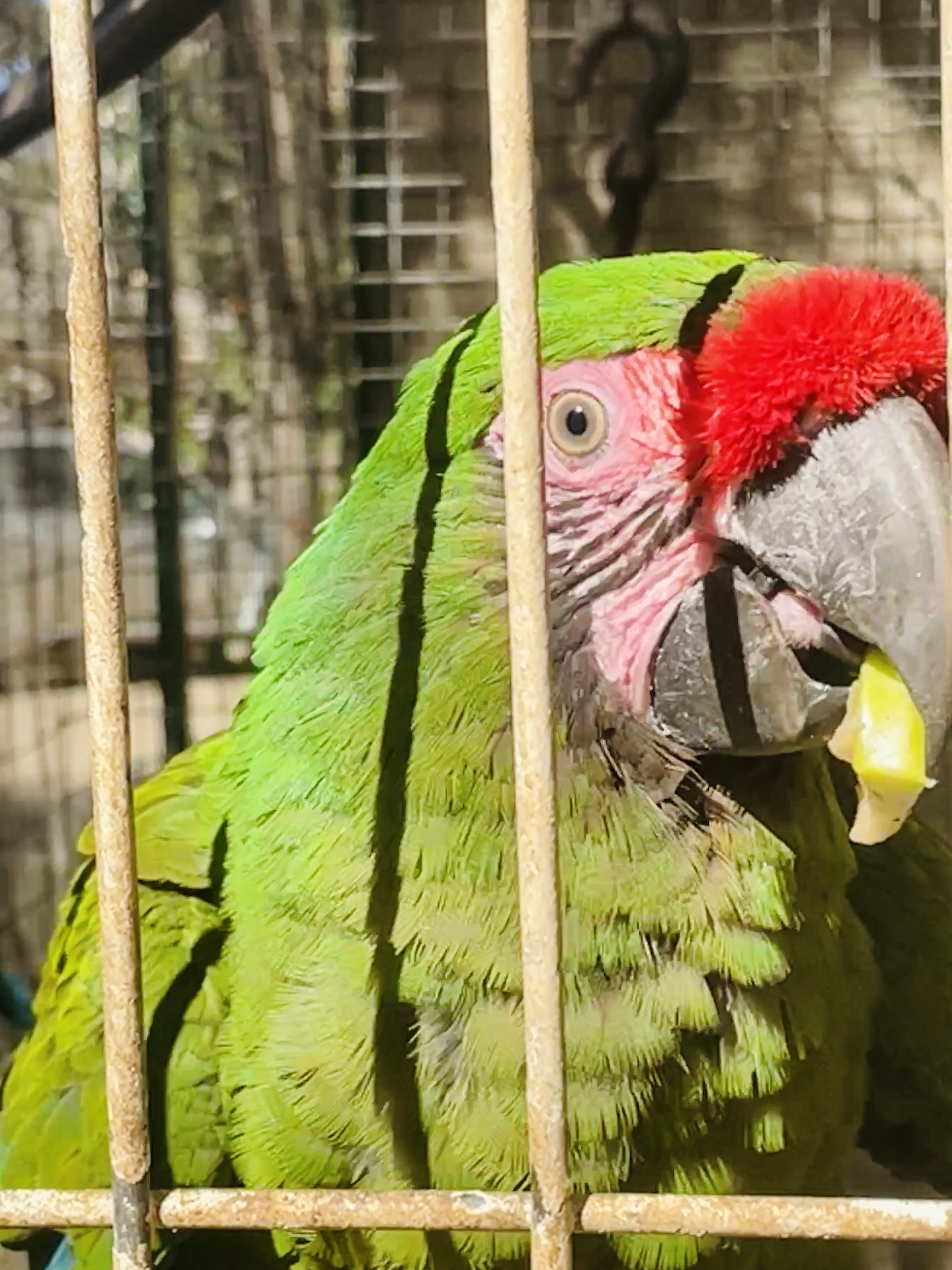 Restaurante El Coral image 9