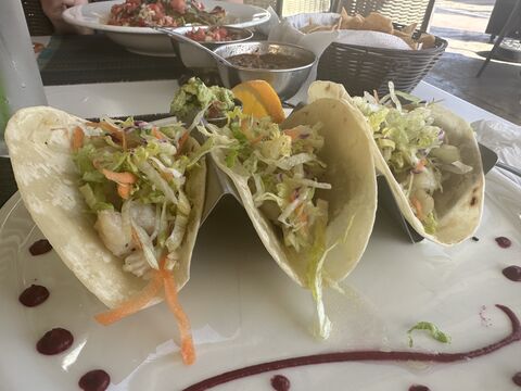 Vibrant Cabo San Lucas Marina Restaurant image 3